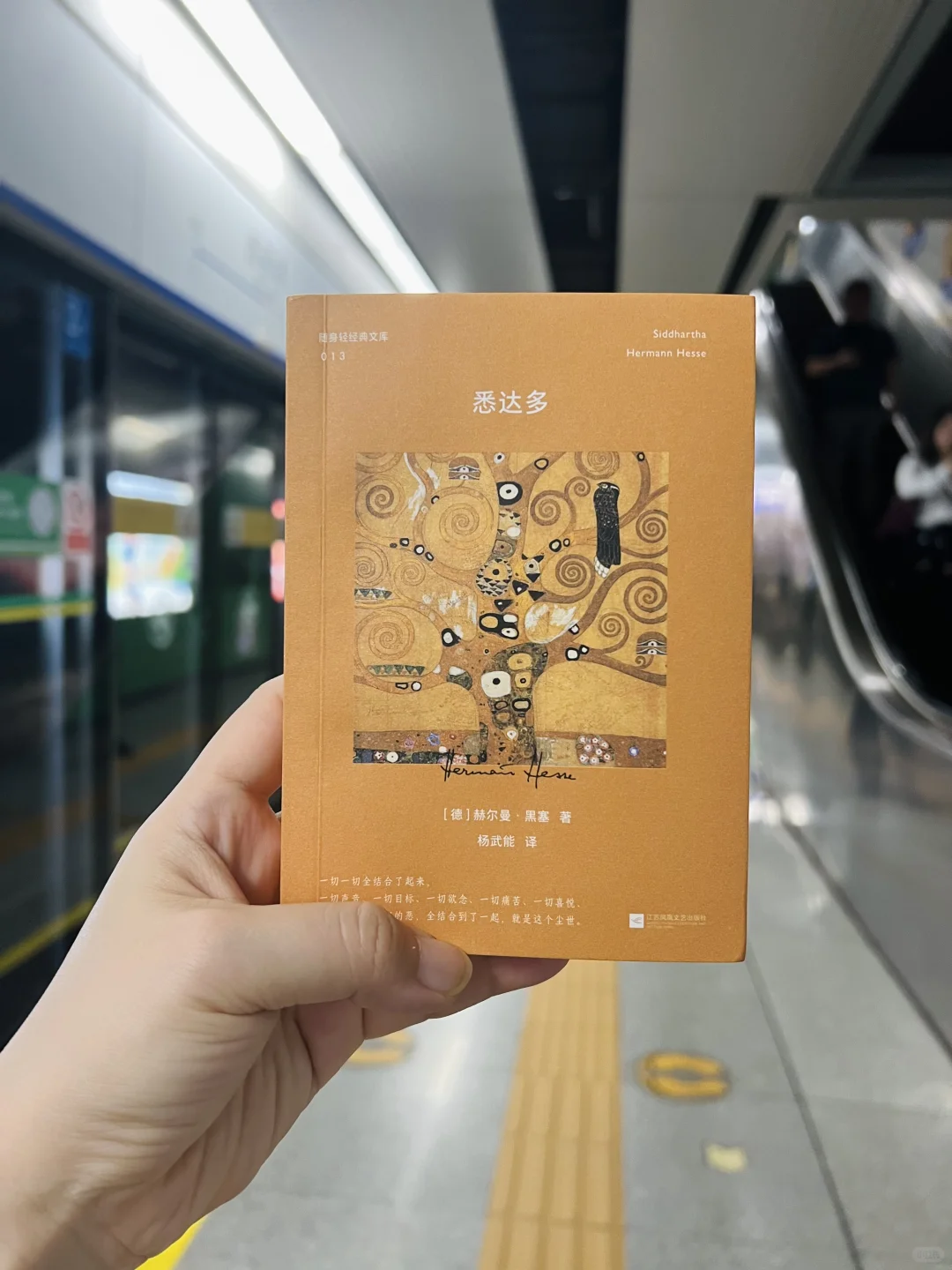 口袋本书单｜通勤读黑塞的经典作品《悉达多》