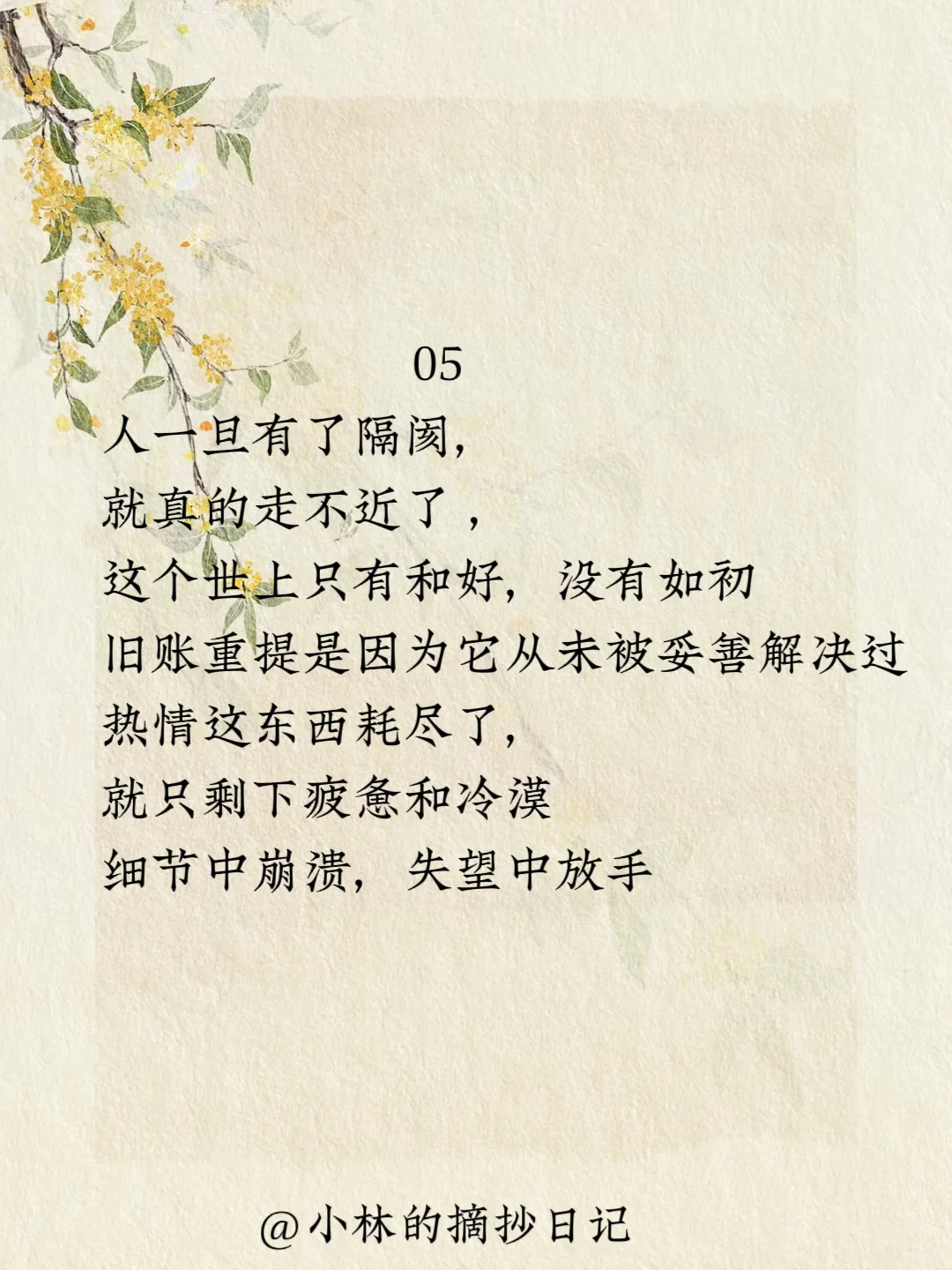 经典摘抄｜林徽因人生这道题怎么选都有遗憾