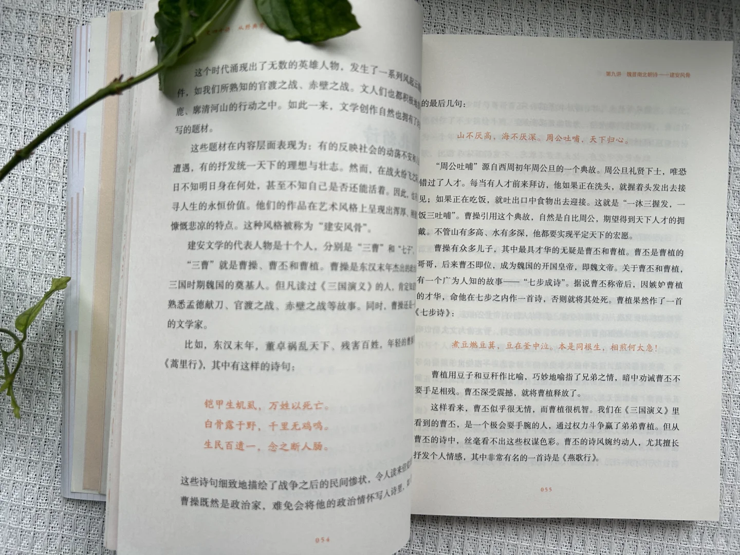 一本带来惊喜的书《中国文学史四十讲：从经典