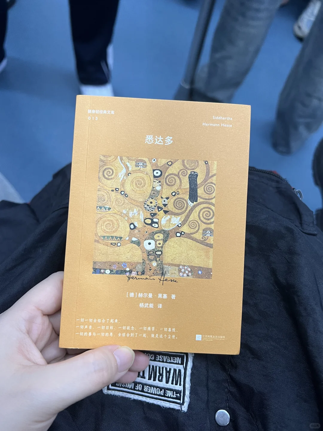 口袋本书单｜通勤读黑塞的经典作品《悉达多》