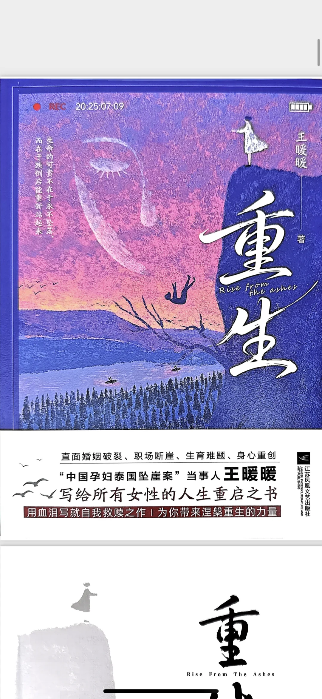 王暖暖的《重生》有电子版啦！