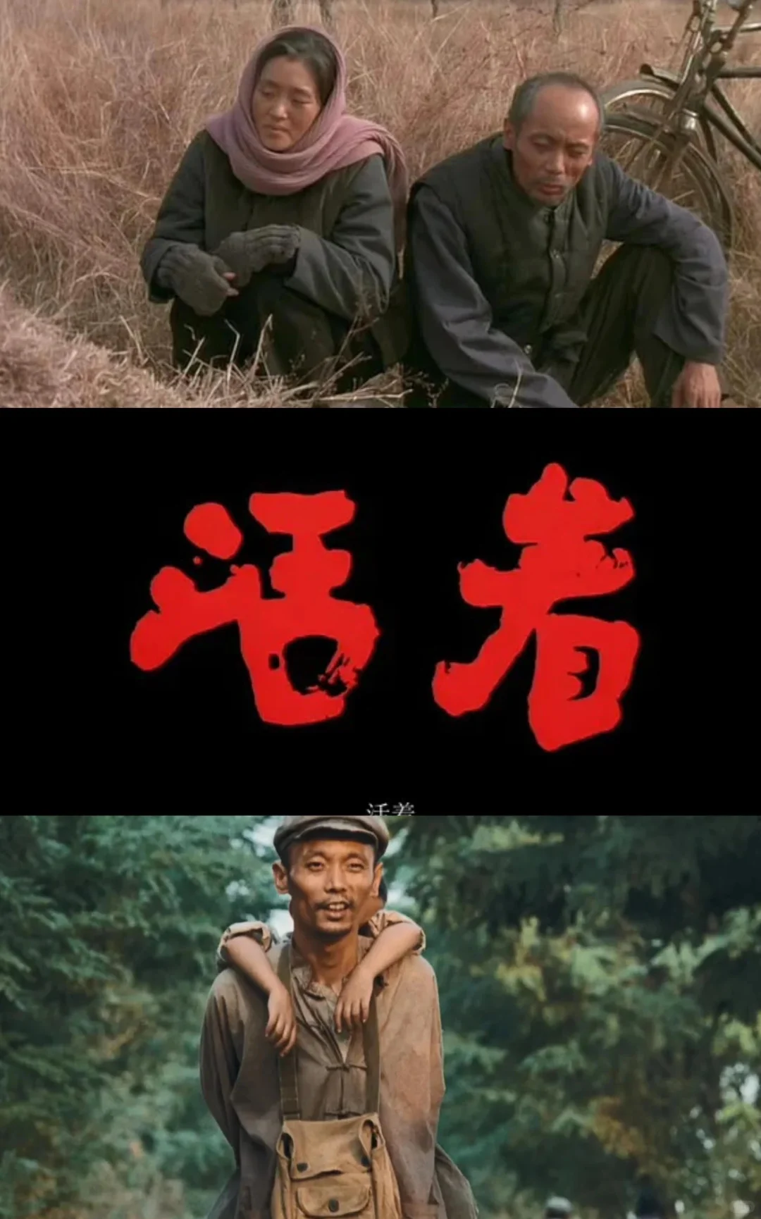 每日推荐一本书｜《活着》