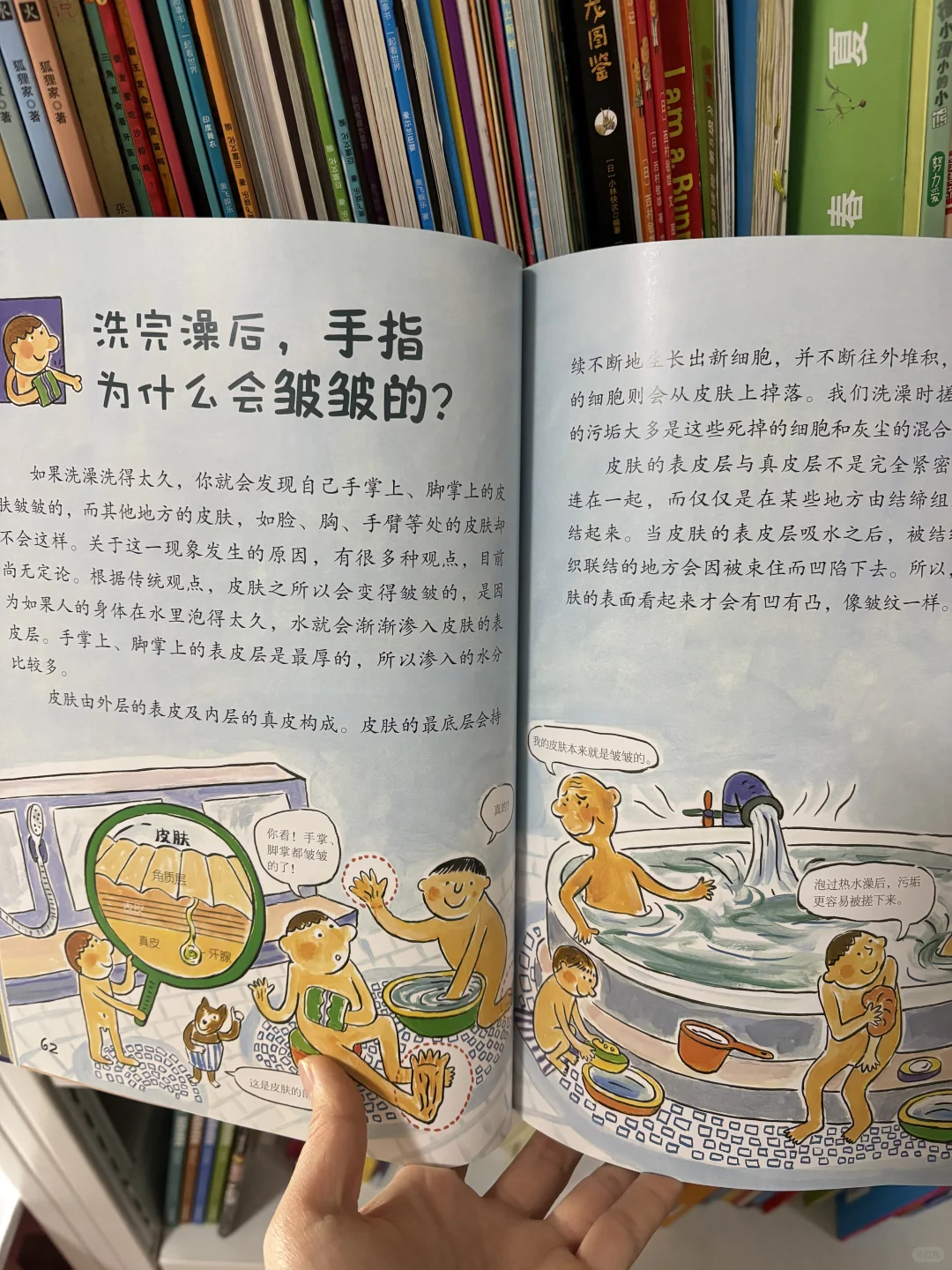 被6岁儿子翻烂的百科全书🔆好书分享