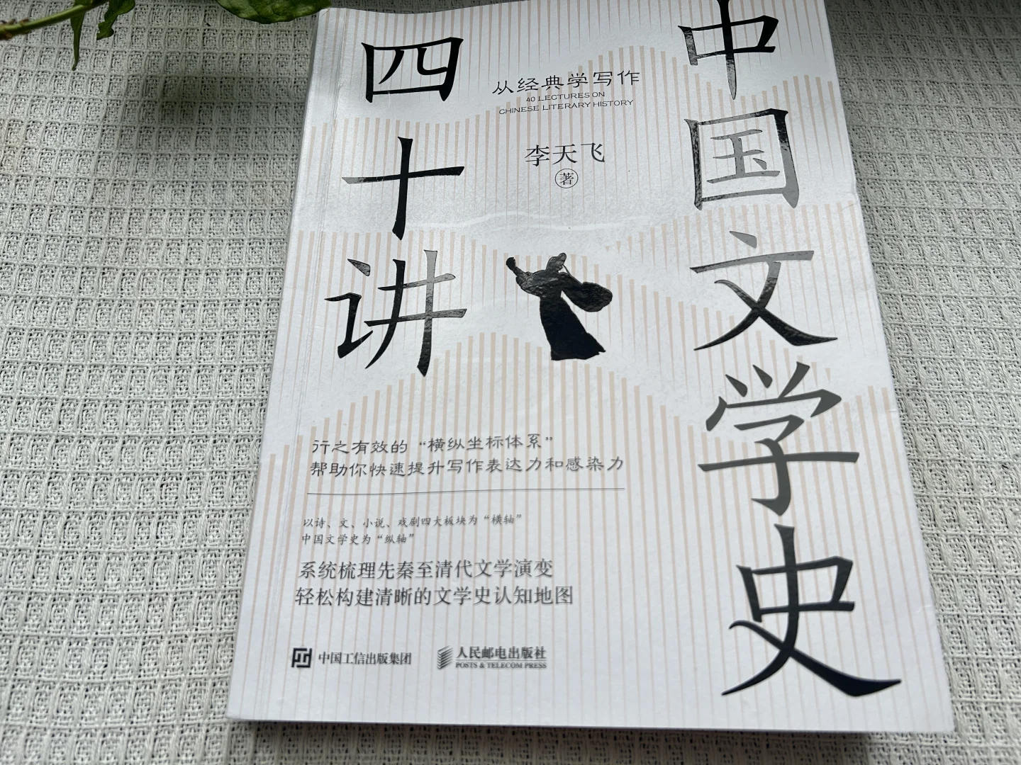 一本带来惊喜的书《中国文学史四十讲：从经典