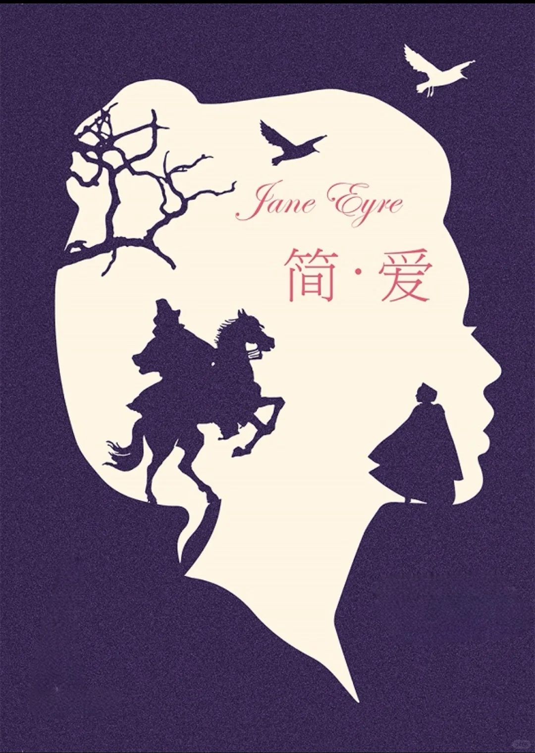 《简·爱》