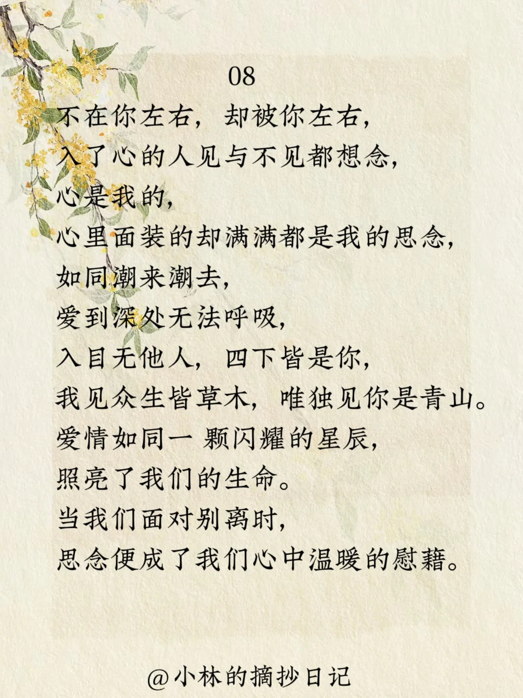 经典摘抄｜林徽因人生这道题怎么选都有遗憾