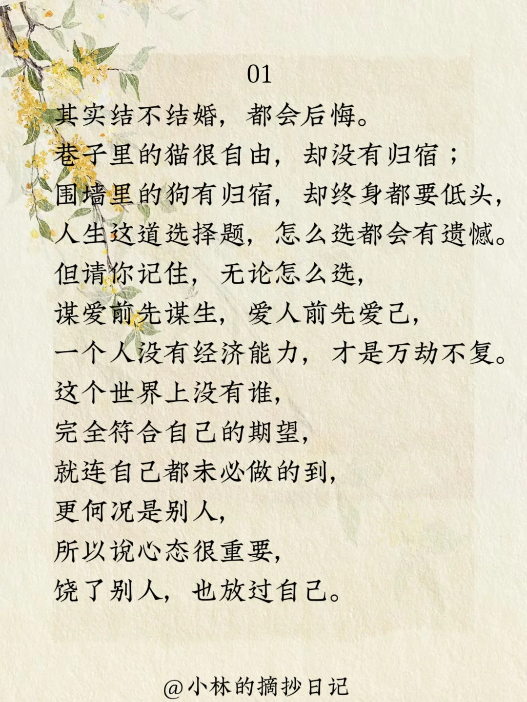经典摘抄｜林徽因人生这道题怎么选都有遗憾