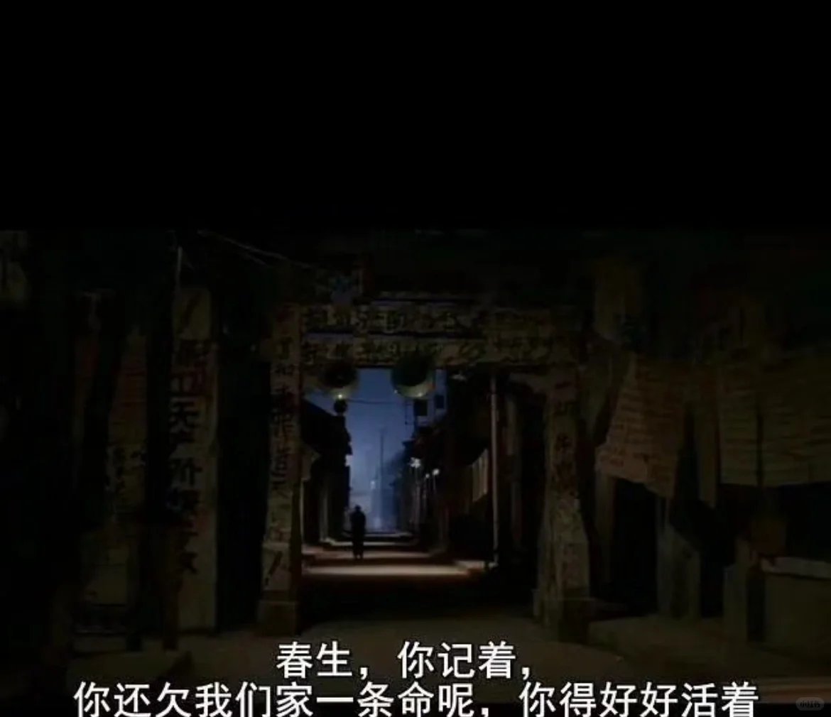 每日推荐一本书｜《活着》