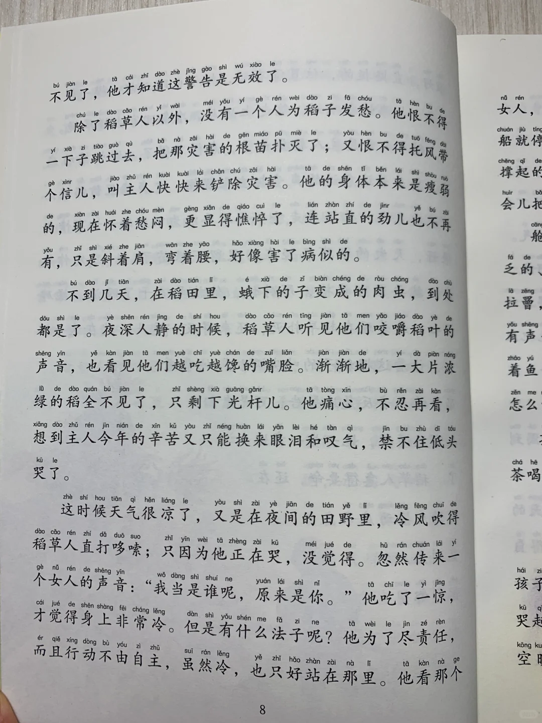 小学三年级必读课外书《稻草人》