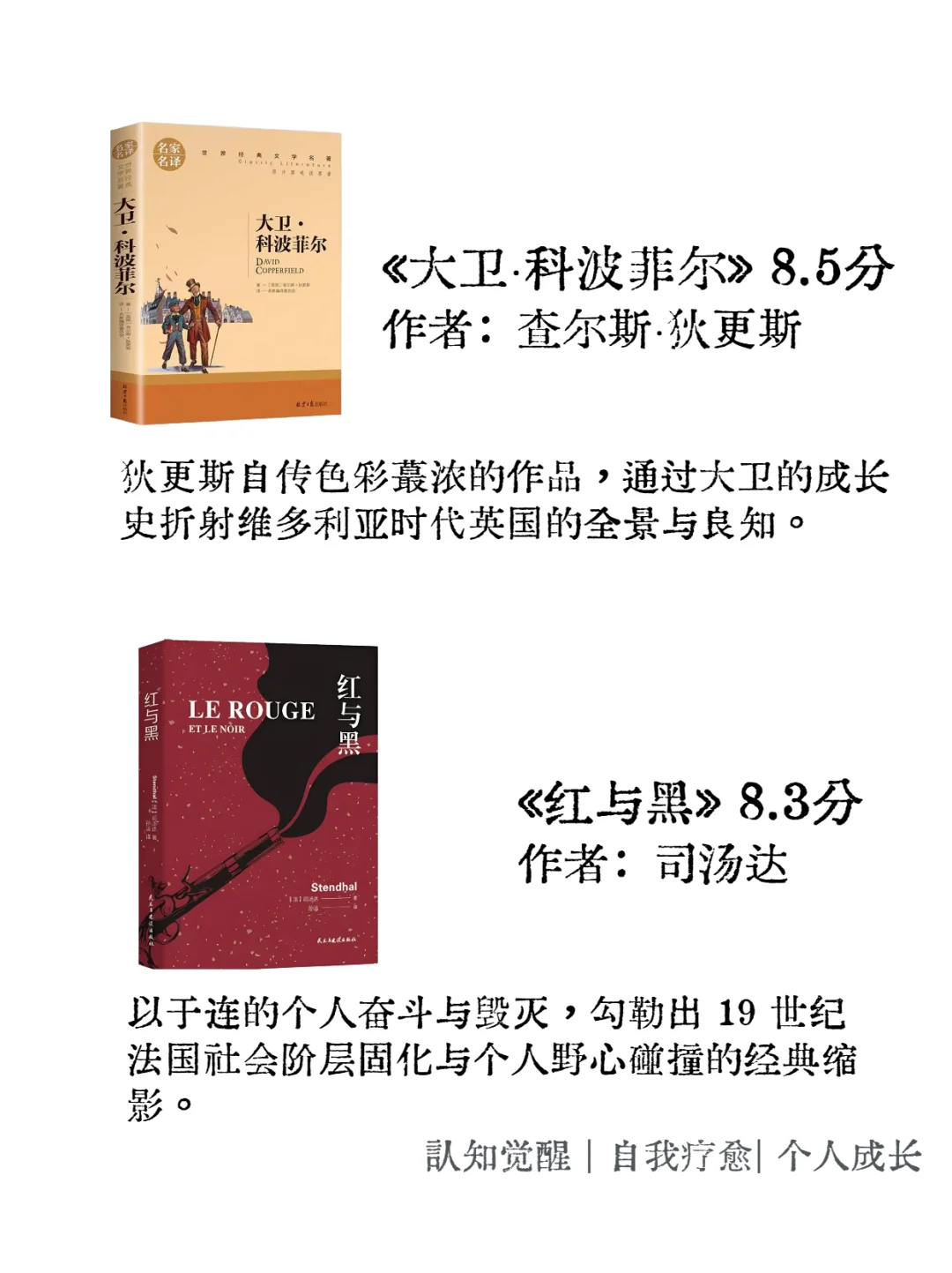 世界十大名著，有生之年至少读一次
