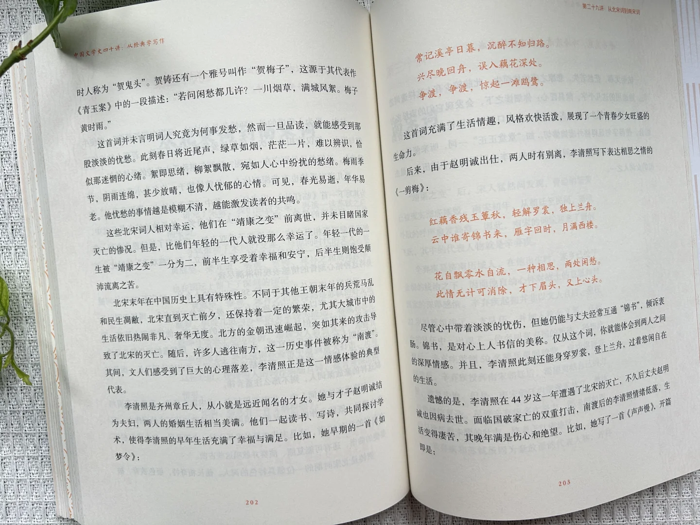 一本带来惊喜的书《中国文学史四十讲：从经典