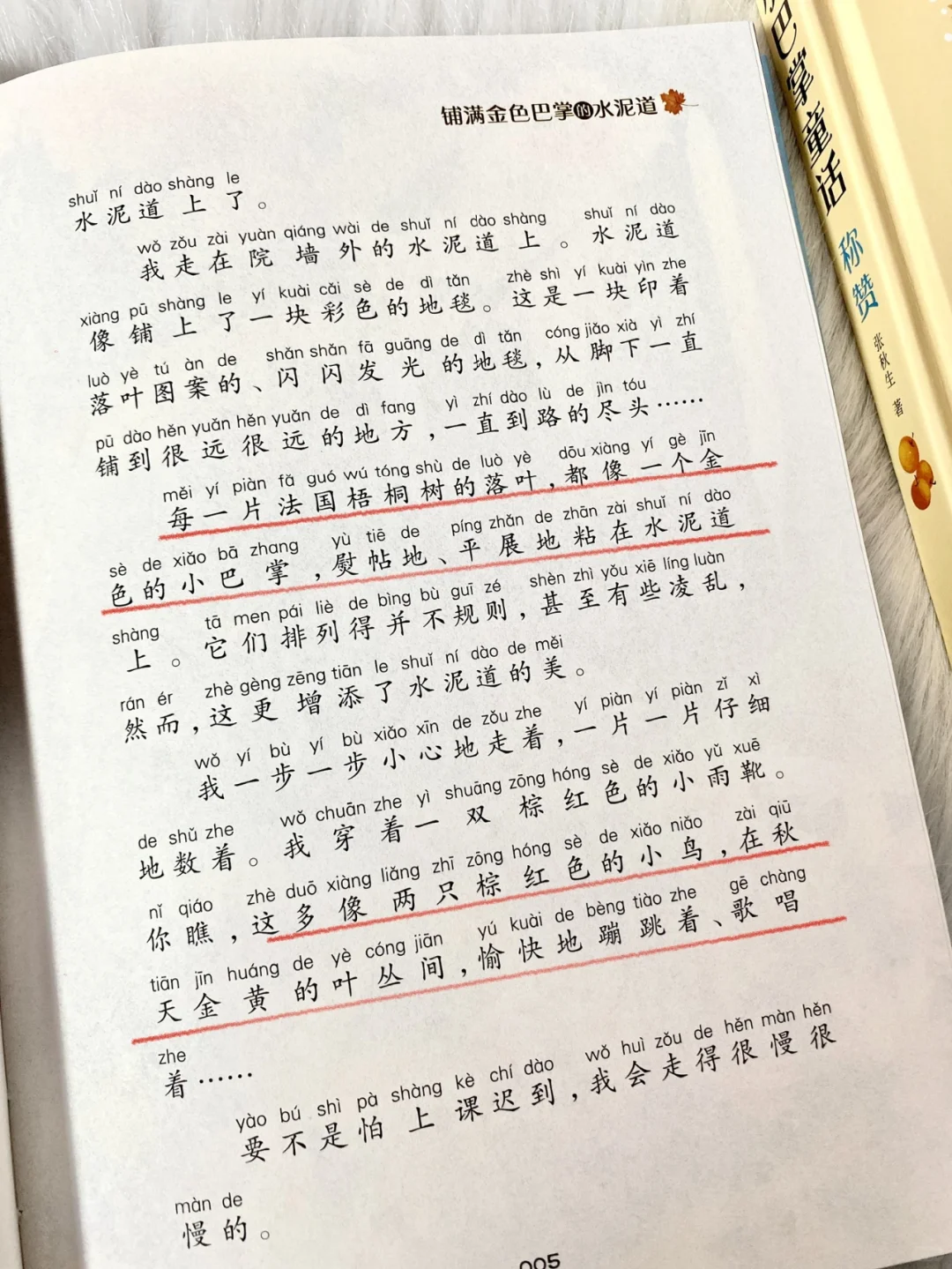 力推的童话书，低年级孩子必读课外书！