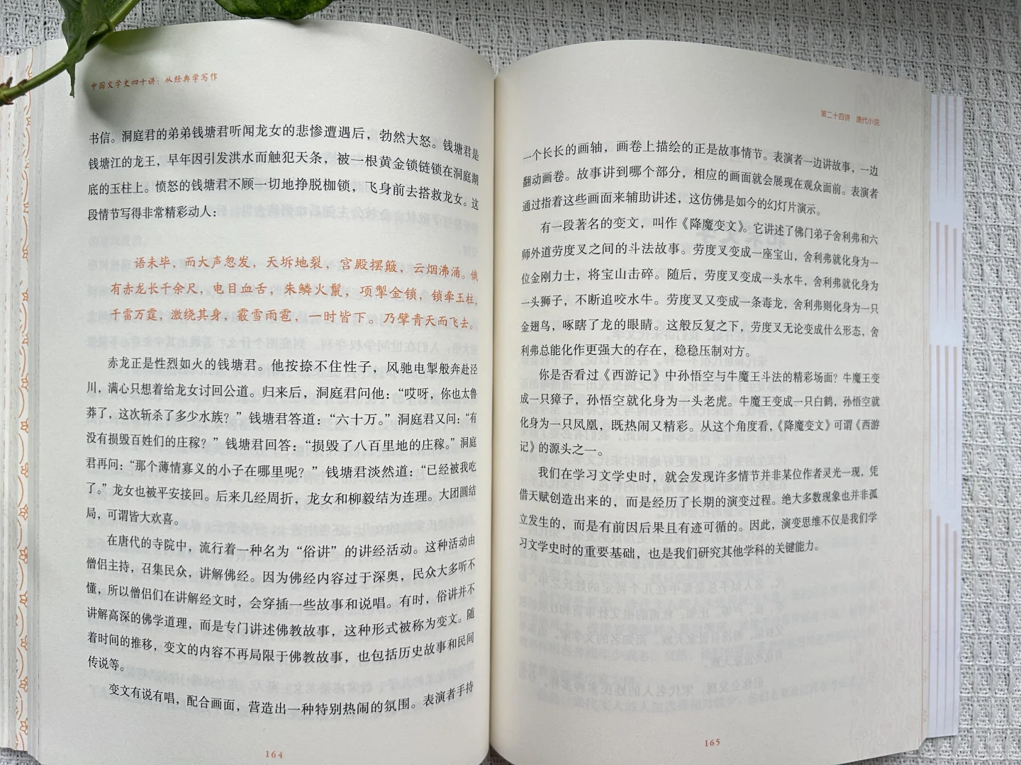 一本带来惊喜的书《中国文学史四十讲：从经典