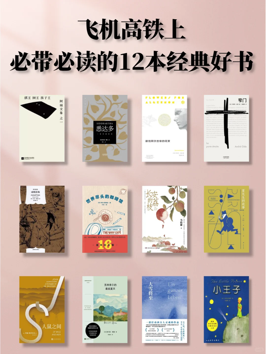适合在飞机高铁上必带必读的经典好书