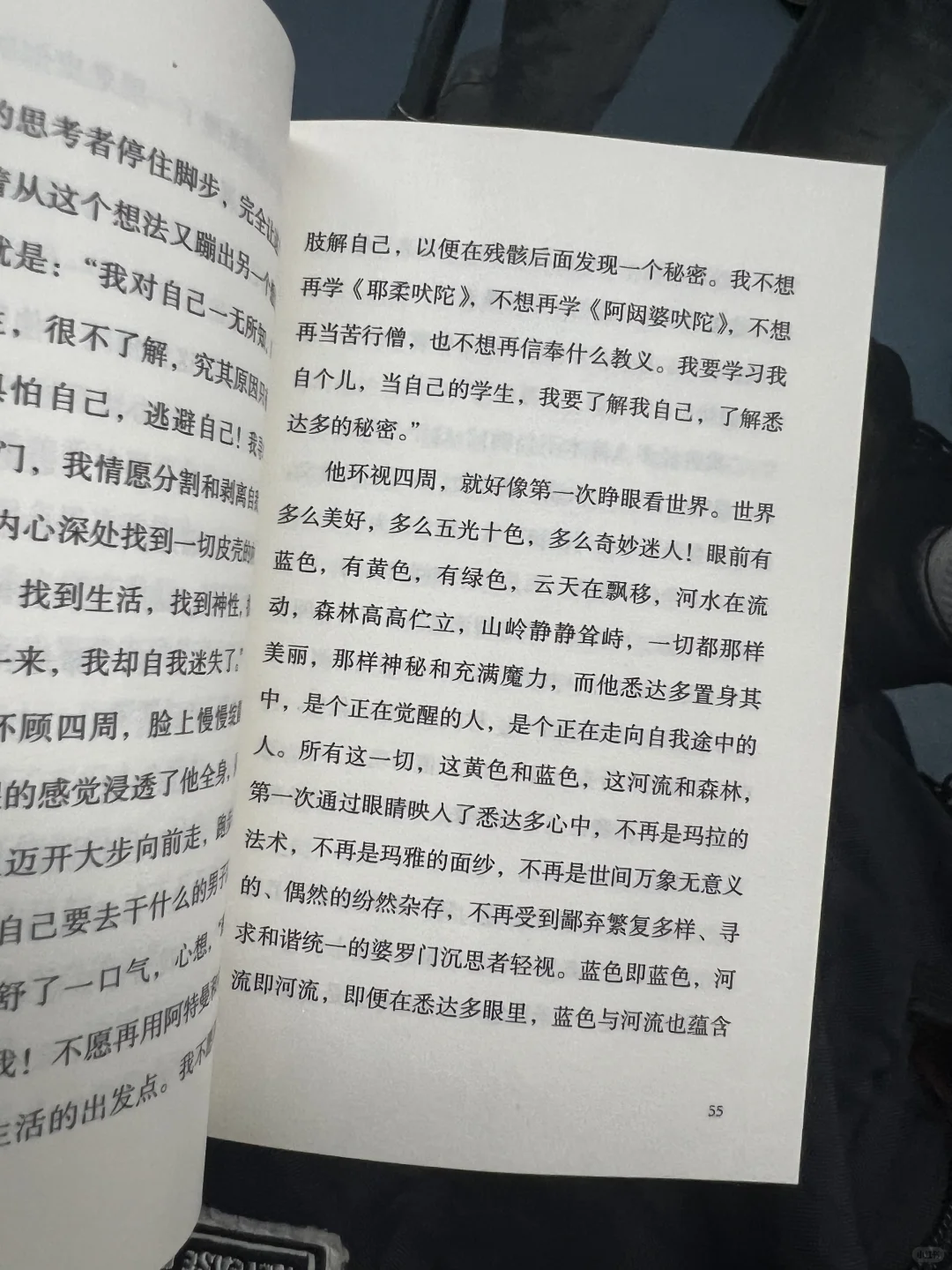 口袋本书单｜通勤读黑塞的经典作品《悉达多》
