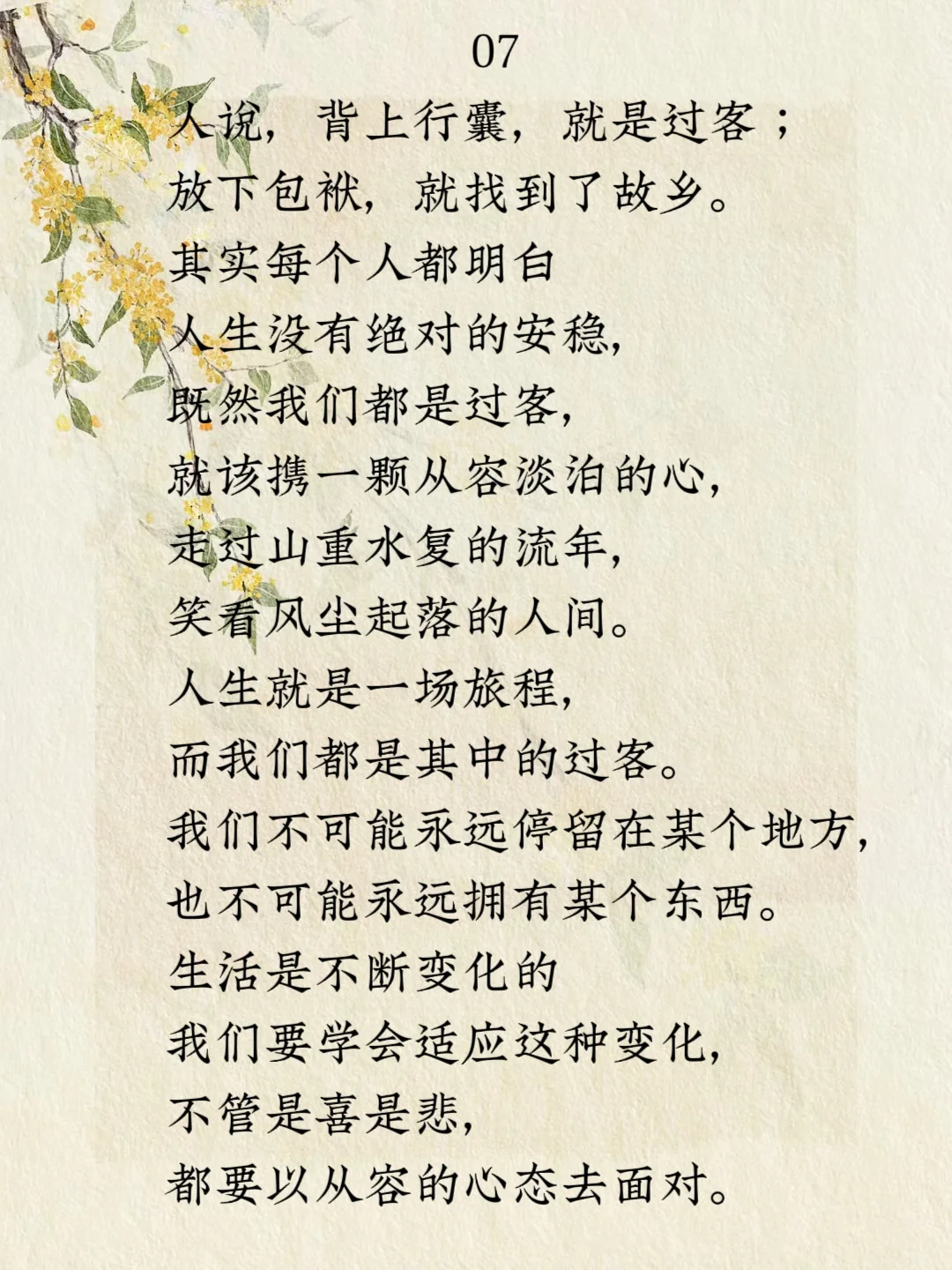 经典摘抄｜林徽因人生这道题怎么选都有遗憾