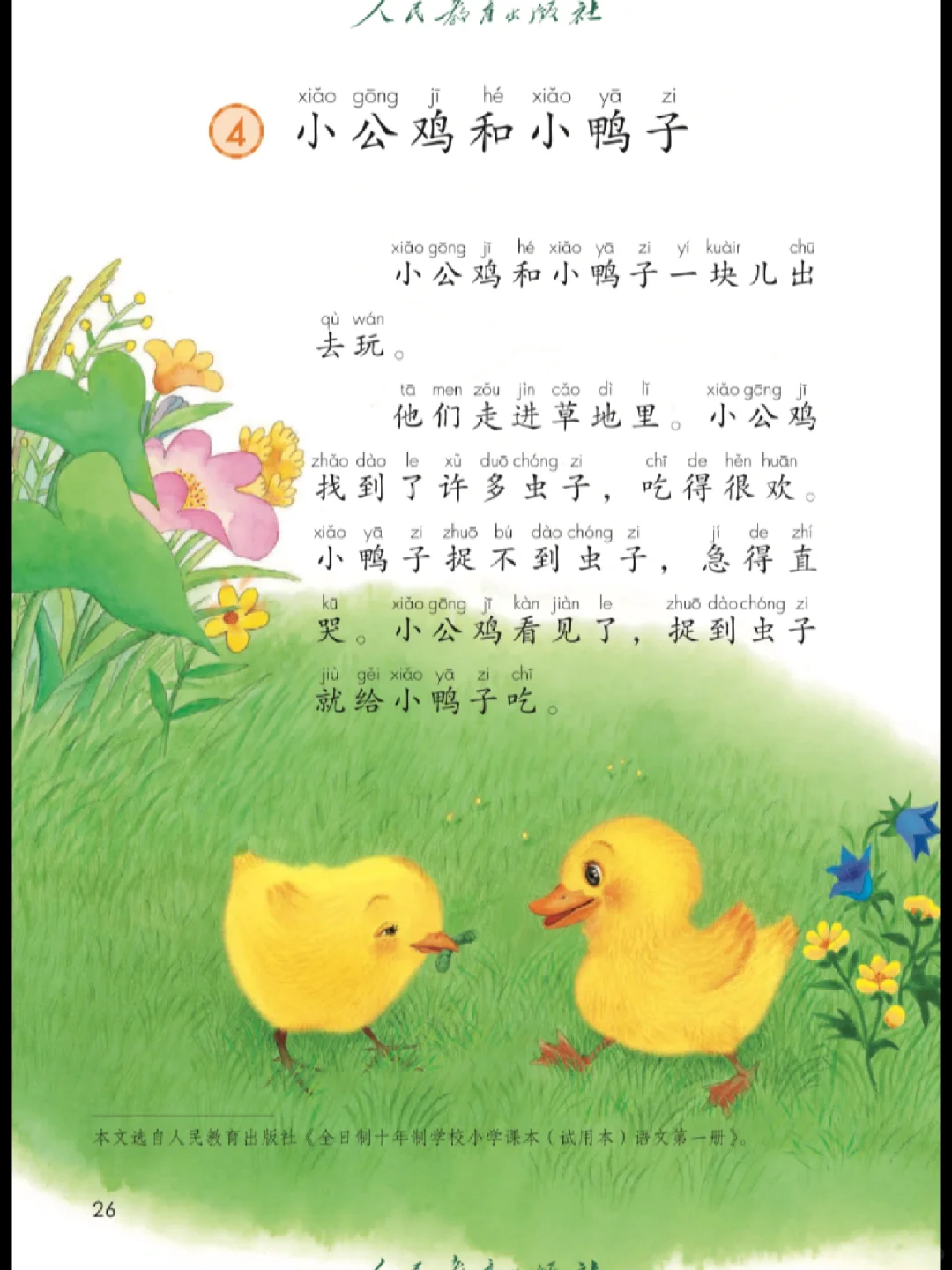 睡前阅读之《小公鸡和小鸭子》