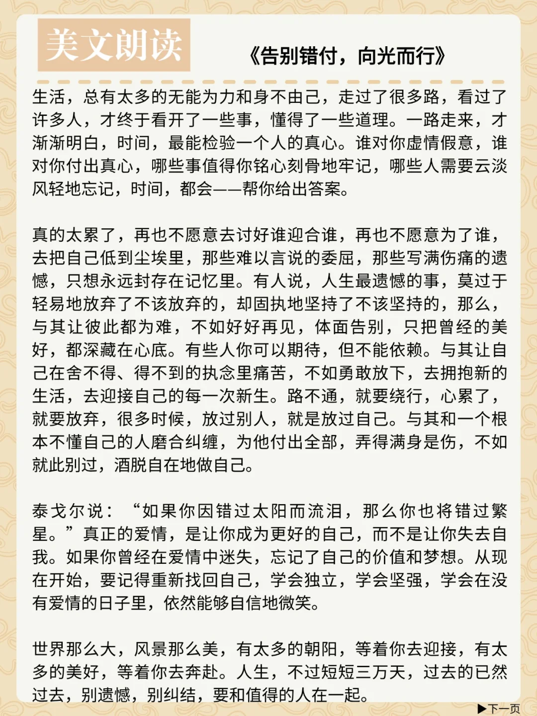 在优美的文章中，静静地看着生命发光✨
