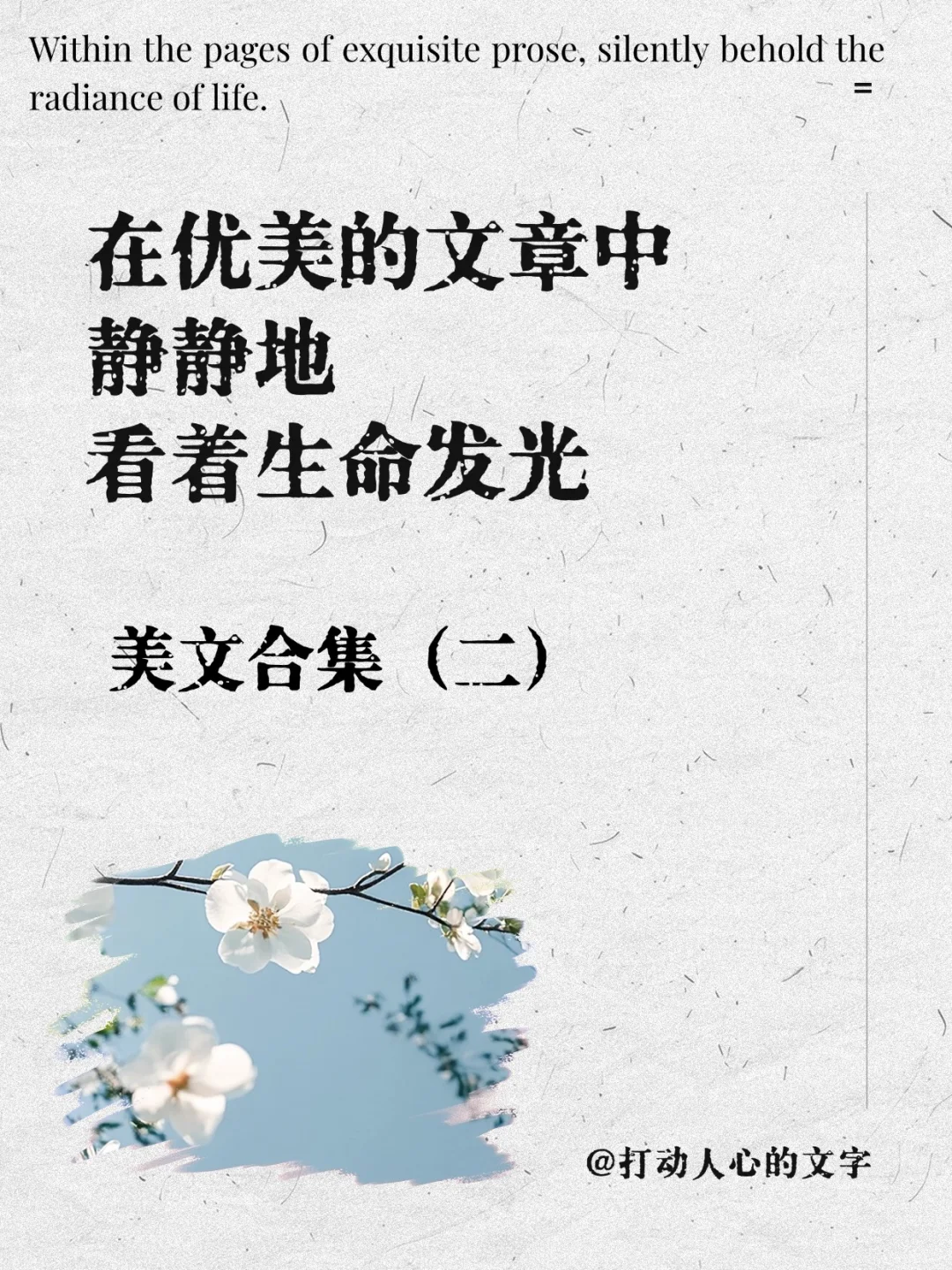 在优美的文章中，静静地看着生命发光✨