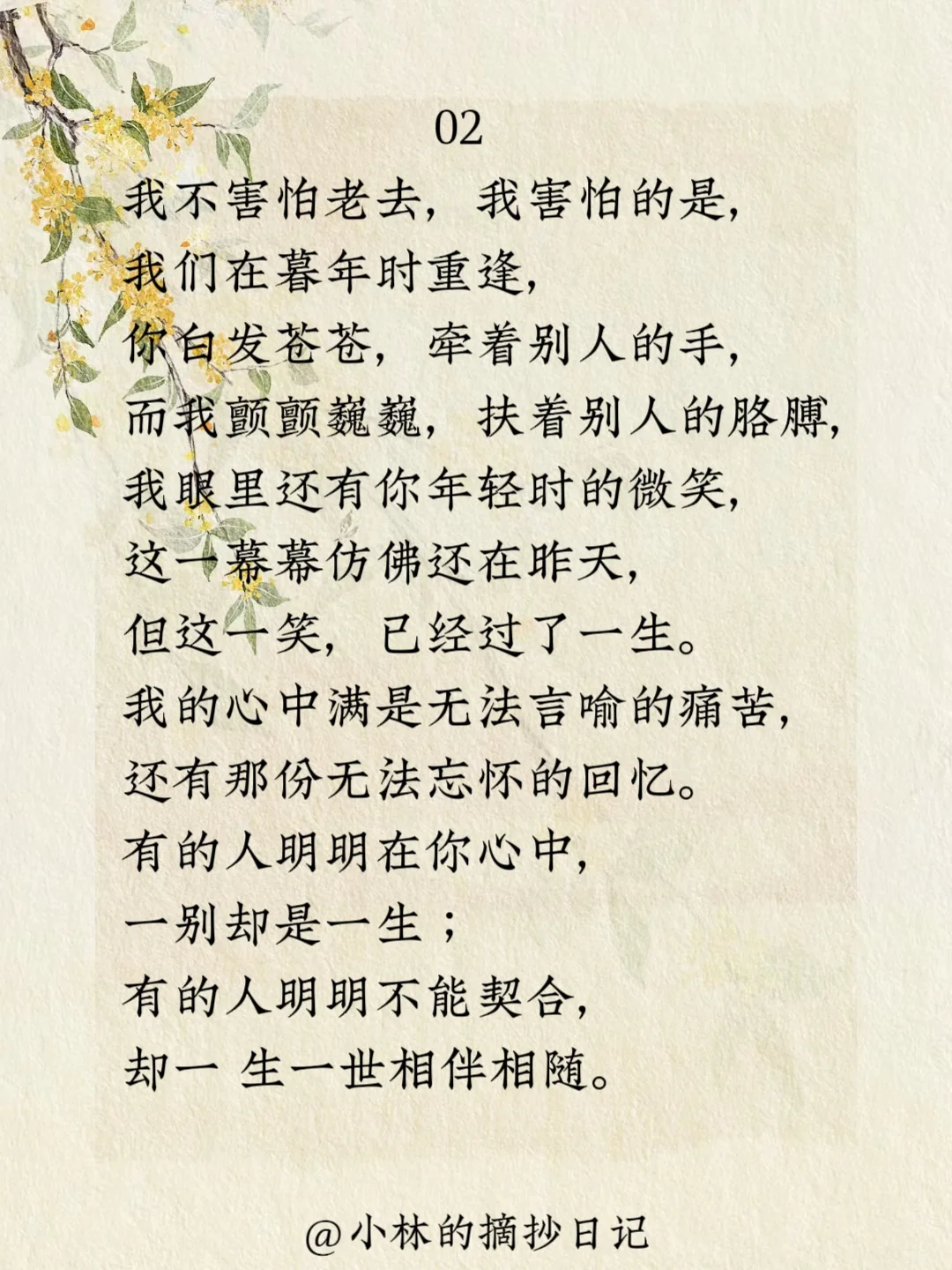 经典摘抄｜林徽因人生这道题怎么选都有遗憾