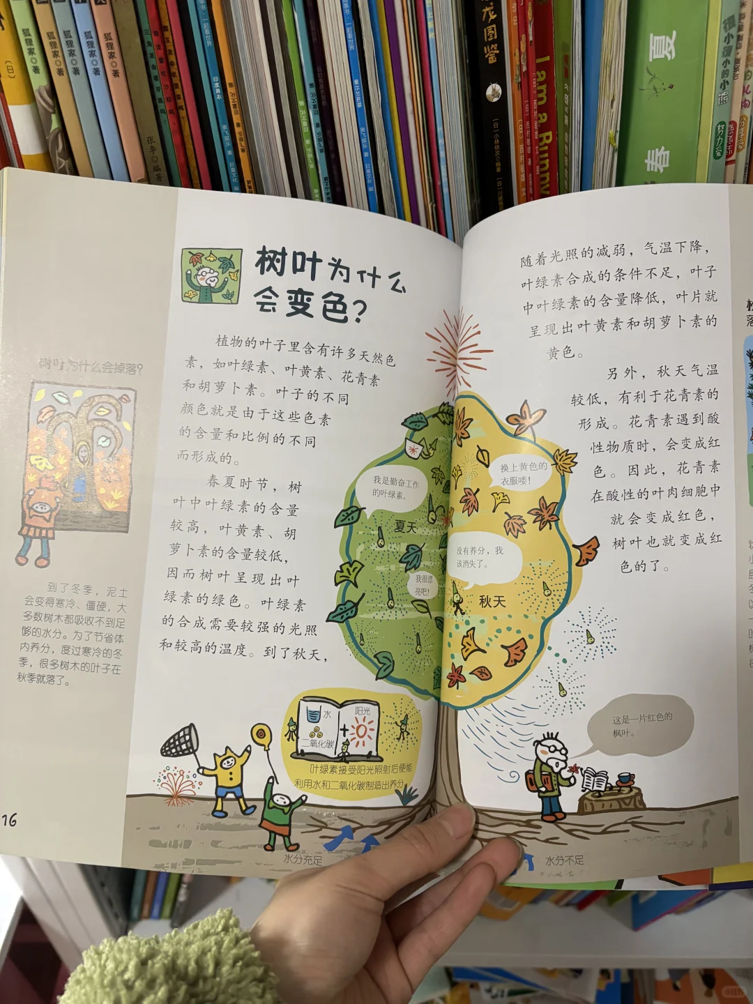 被6岁儿子翻烂的百科全书🔆好书分享