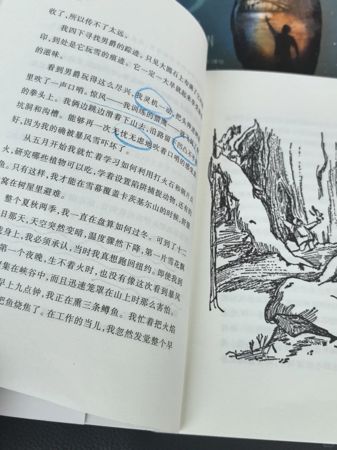真没想到！9岁娃看了这套书居然戒了手机瘾