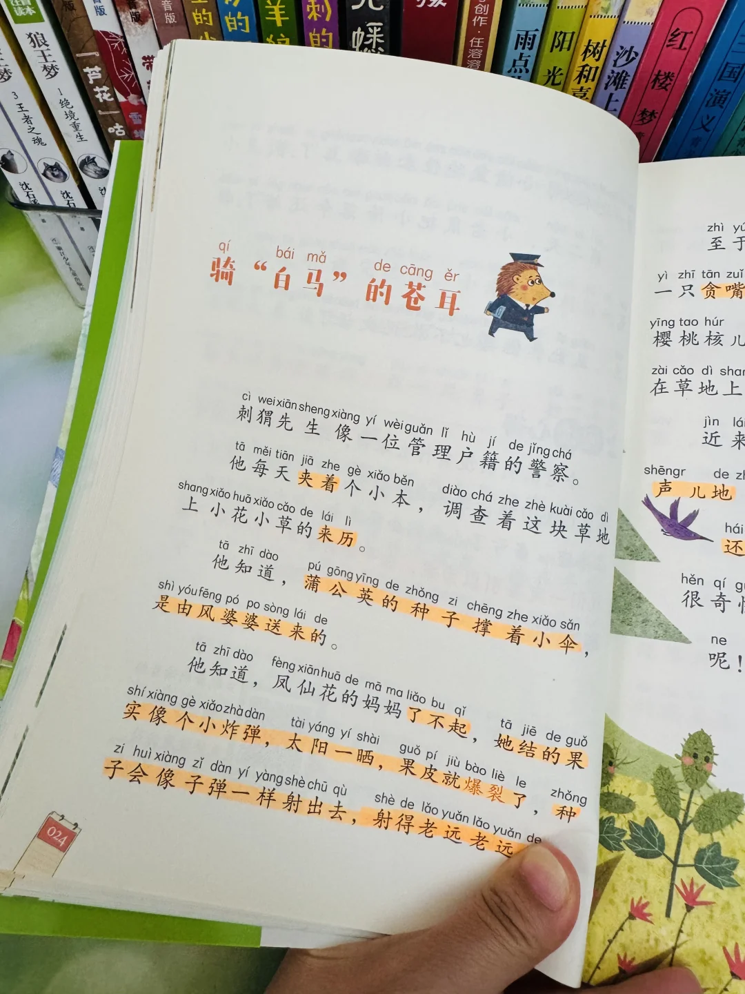 语文特级教师推荐👍一二年级必读书目‼️