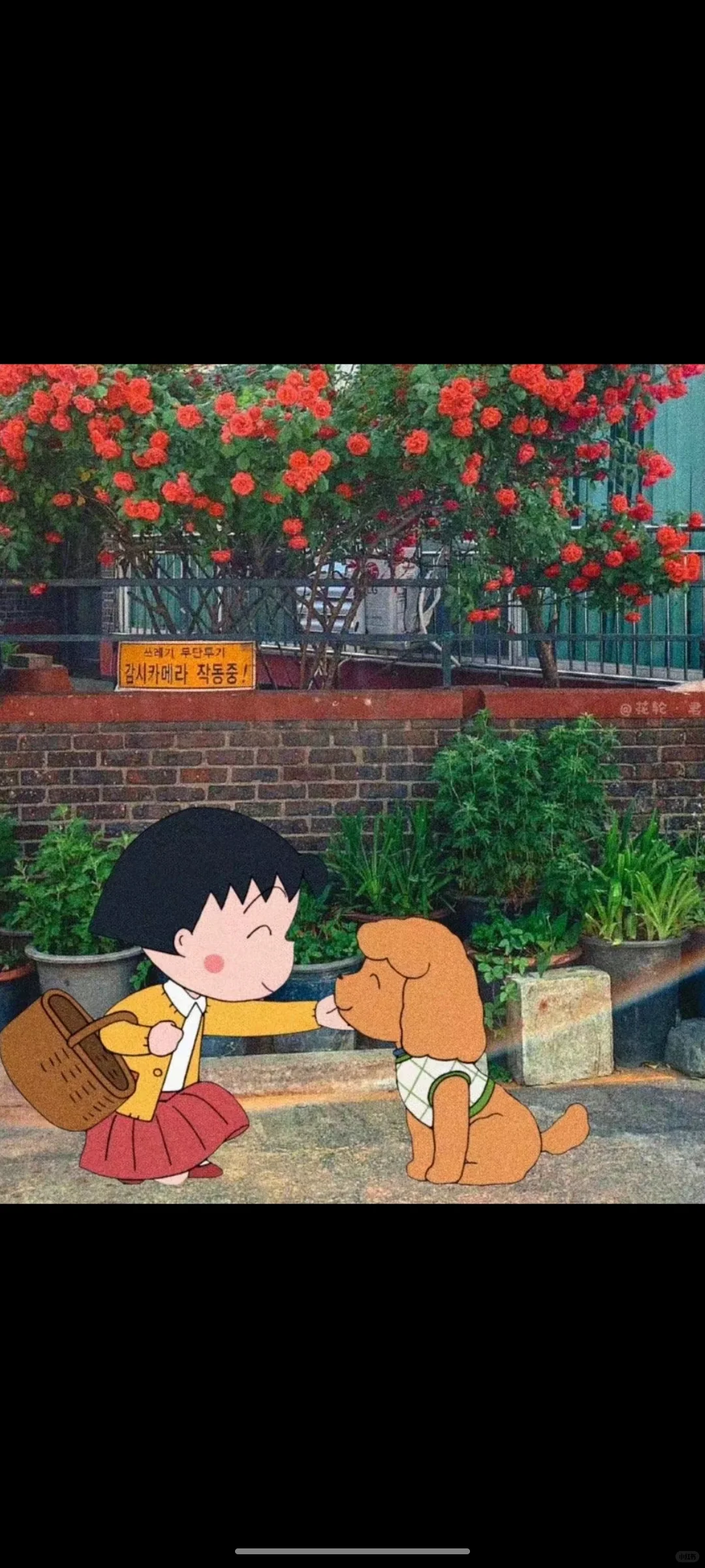 kindle看英文书好似在体验不同的人生!