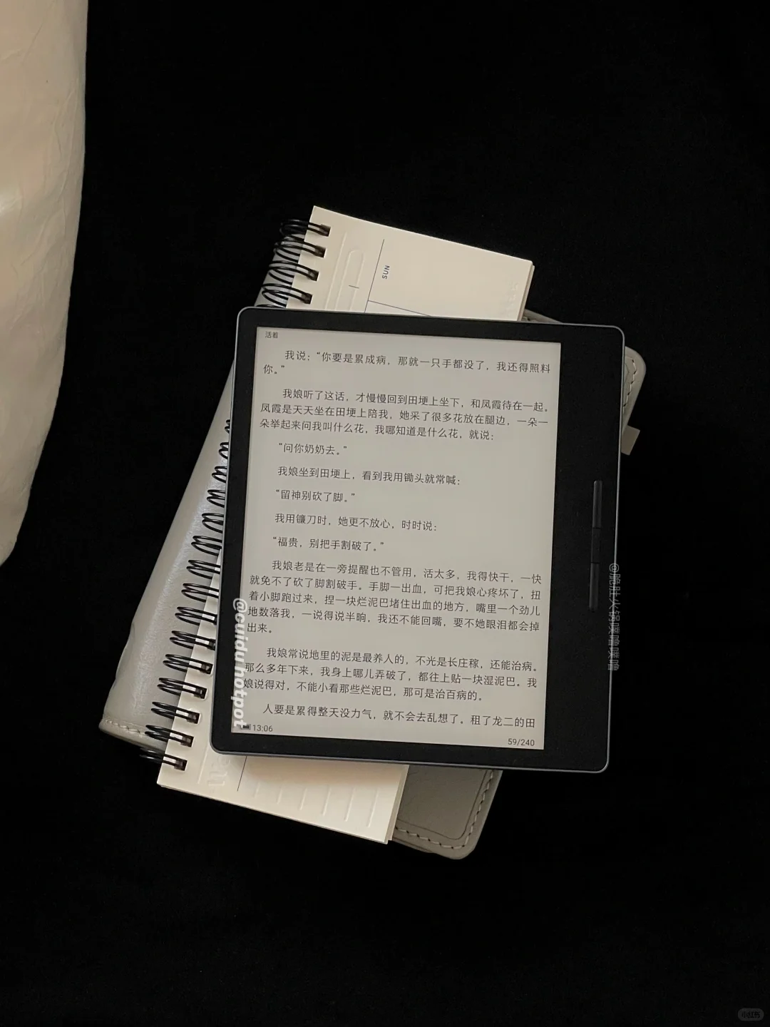 Pulu's｜不要停止阅读，也不要停止生活