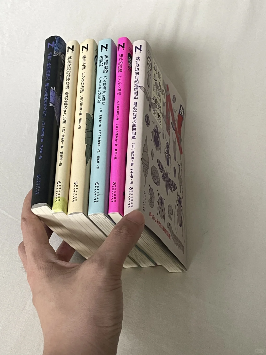 春运轻便小书 两小时可读完