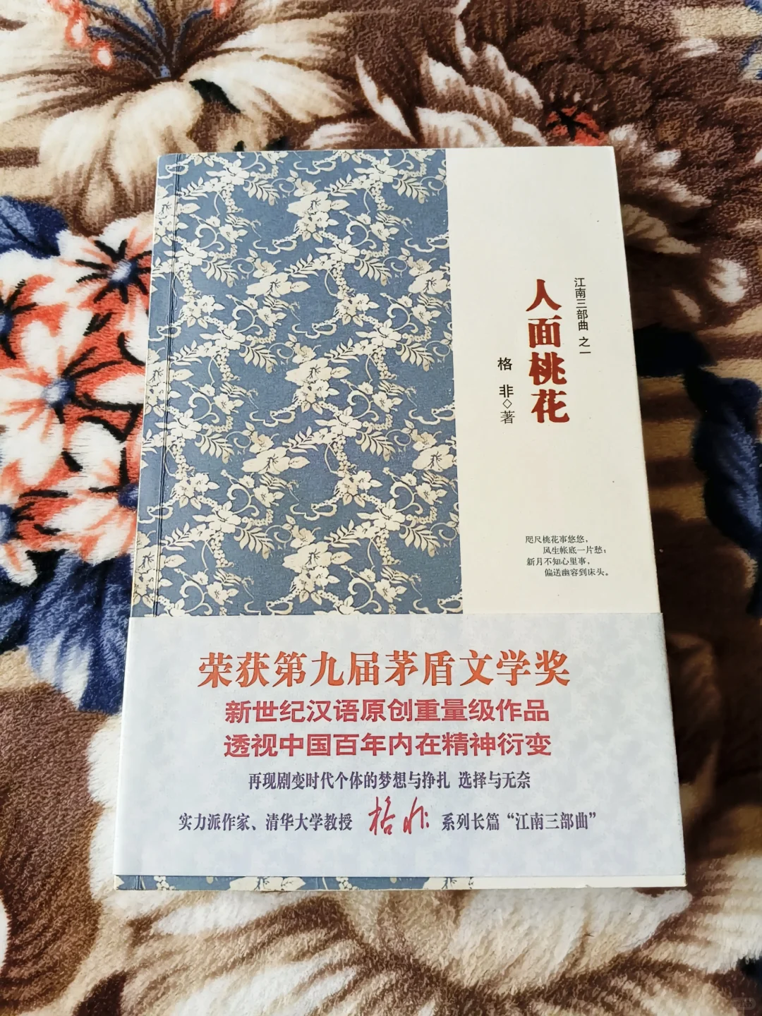 茅奖获奖作品格非《人面桃花》