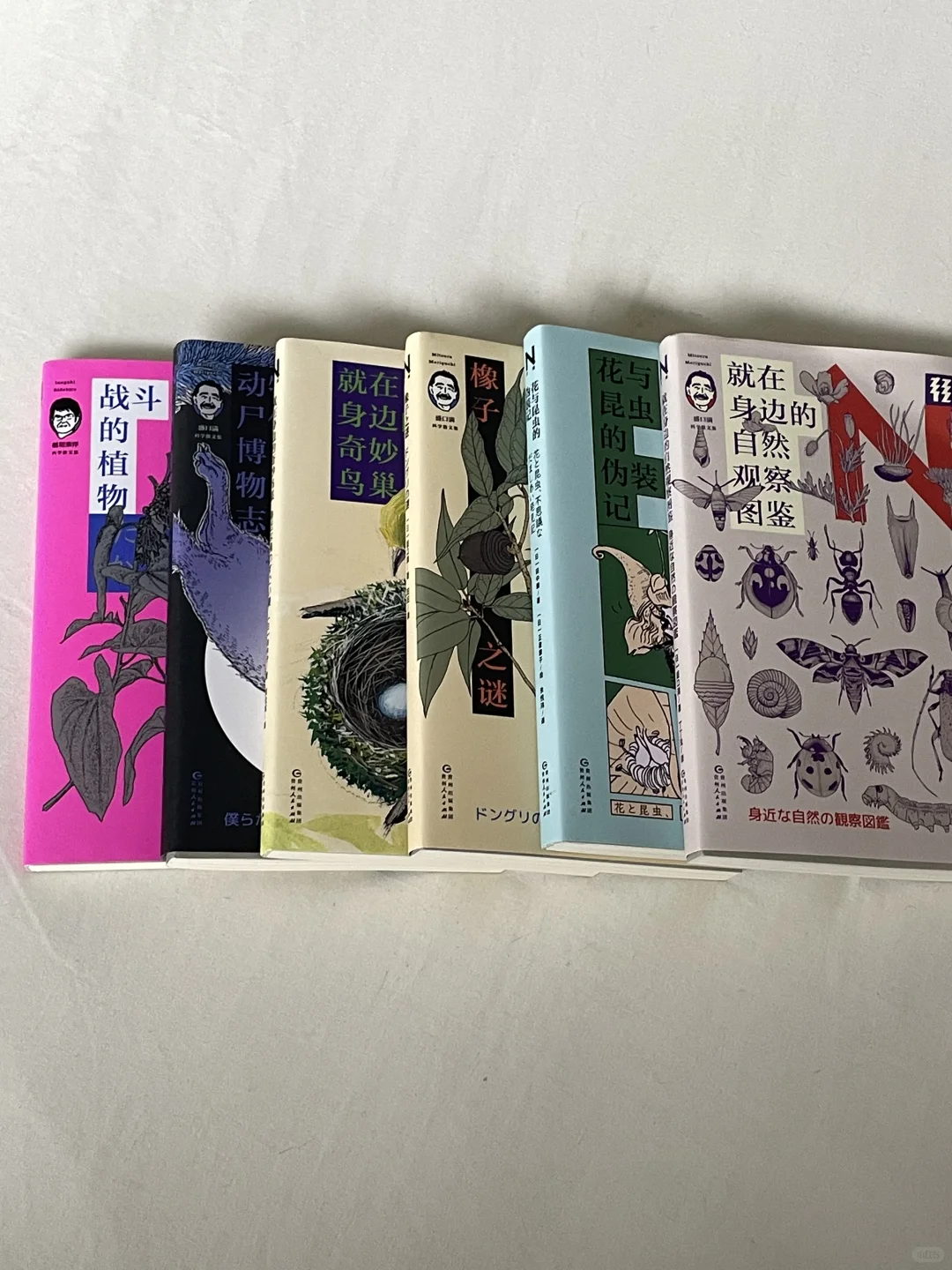 春运轻便小书 两小时可读完