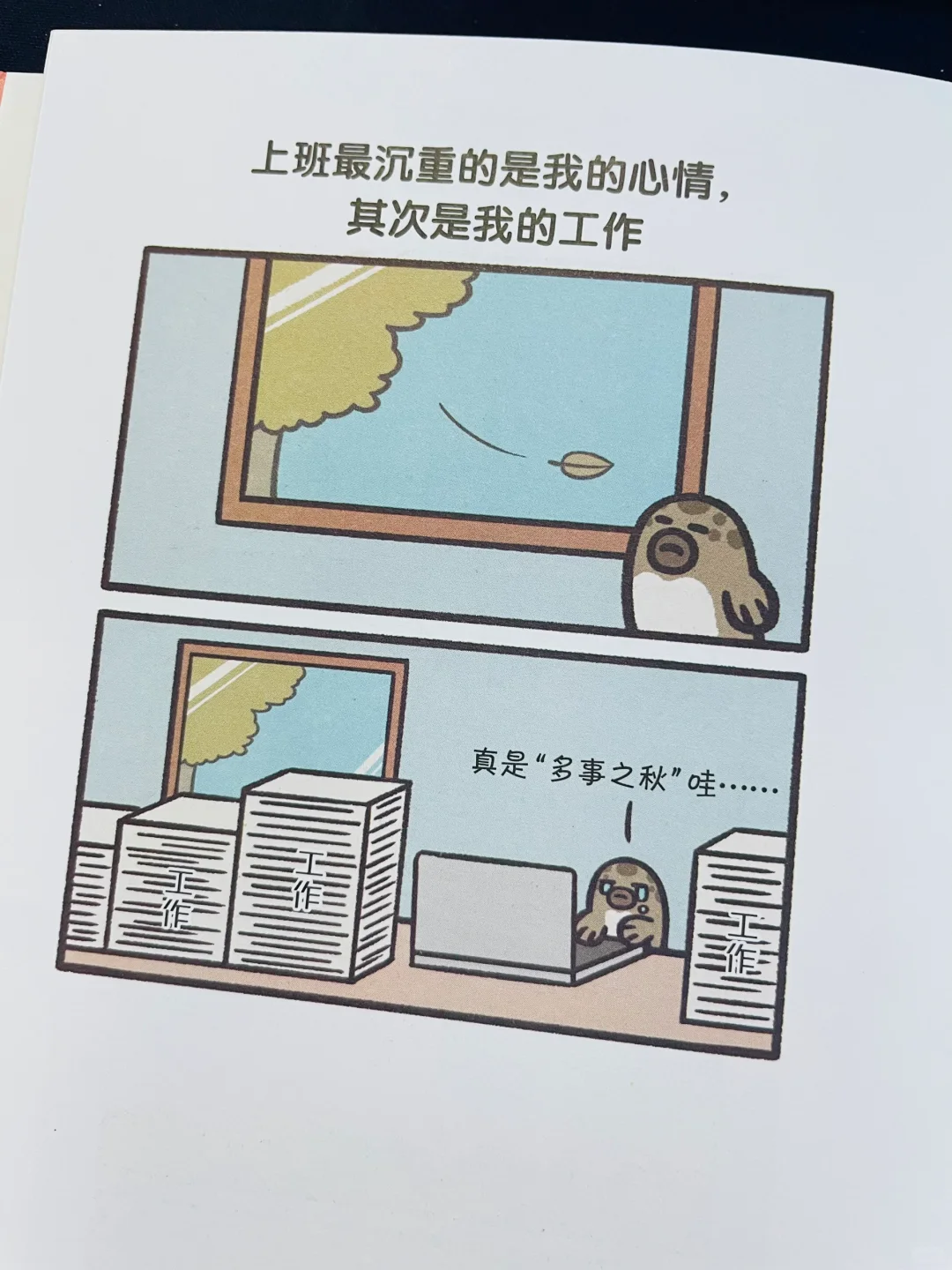 笑出鹅叫🤣怎么会有这么解压又治愈的书啊