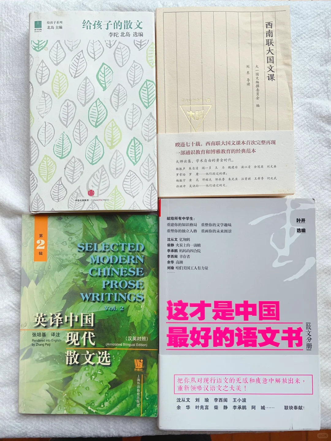 985中文系妈妈给家里初中生练写作的充电书