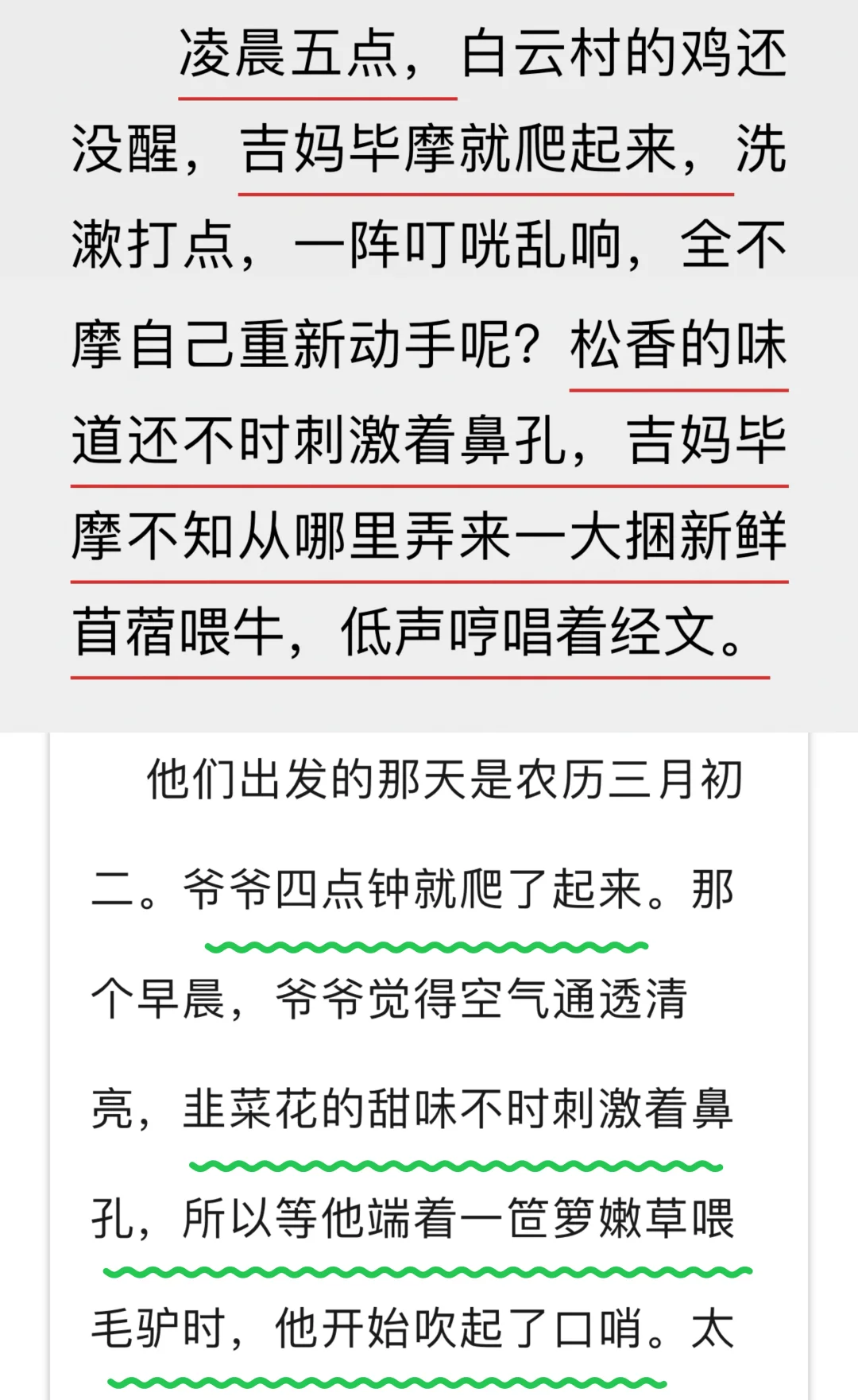 焦典处女作毕飞宇指导，成为博士生敲门砖❗️