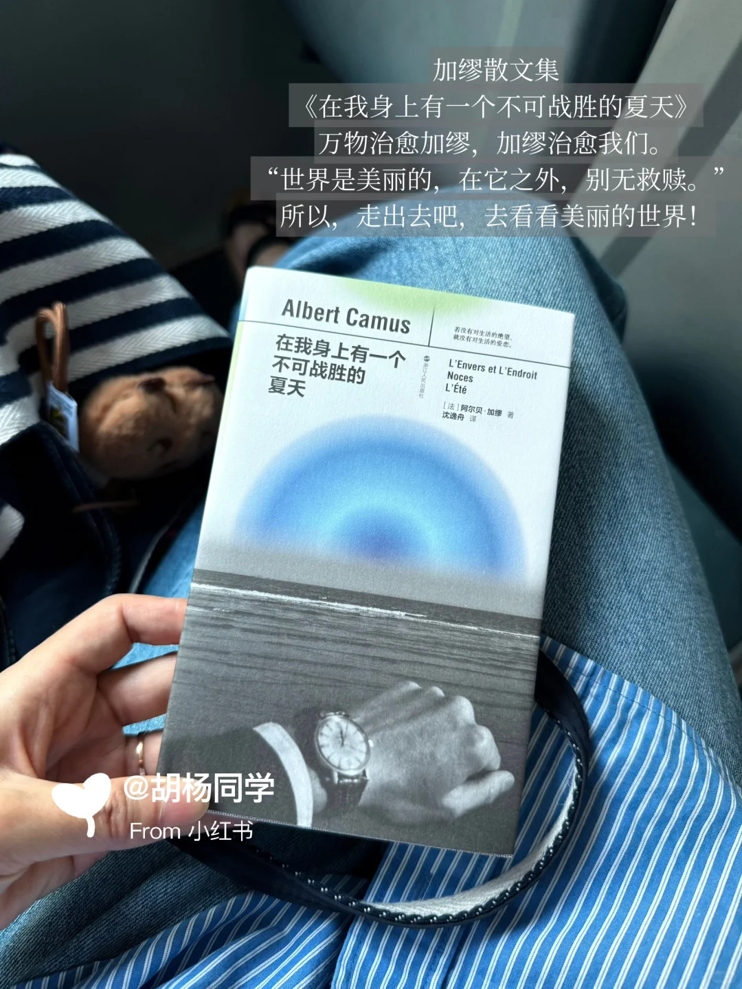 路上读书2.5年｜最爱这9本醒脑口袋书～