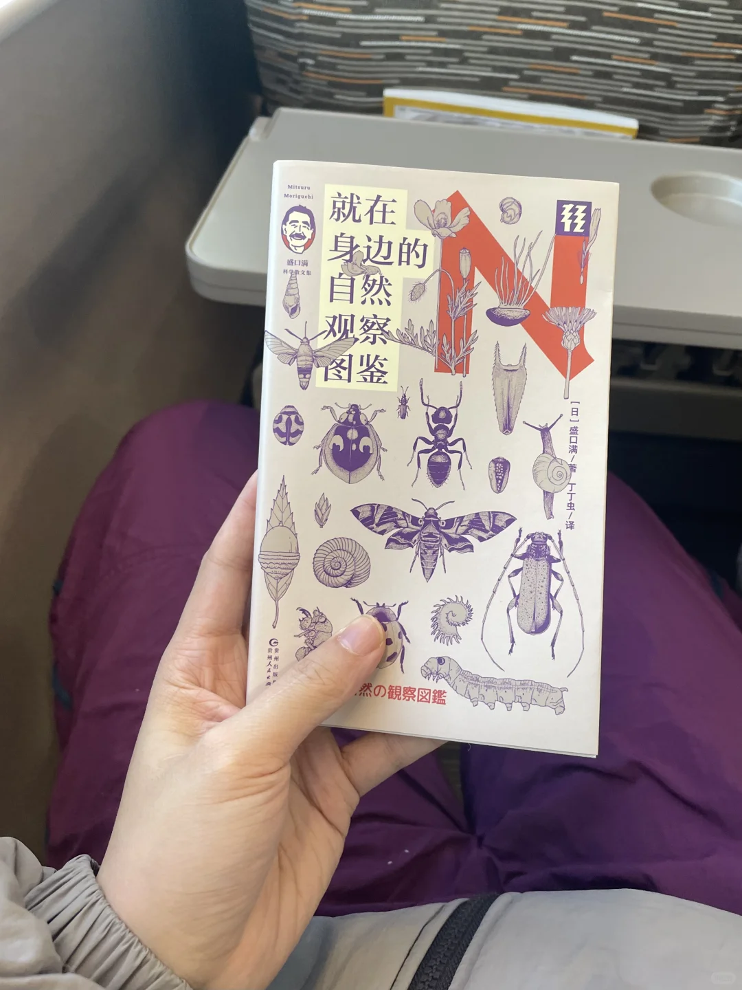 春运轻便小书 两小时可读完