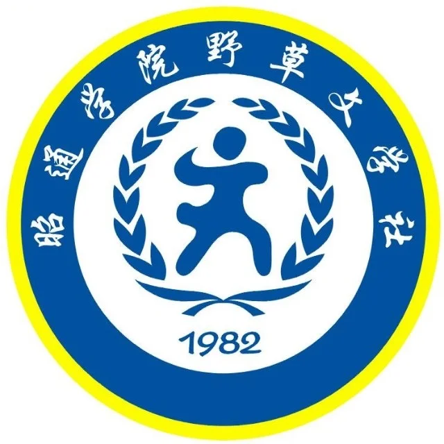 小说处女作获得野草文学奖