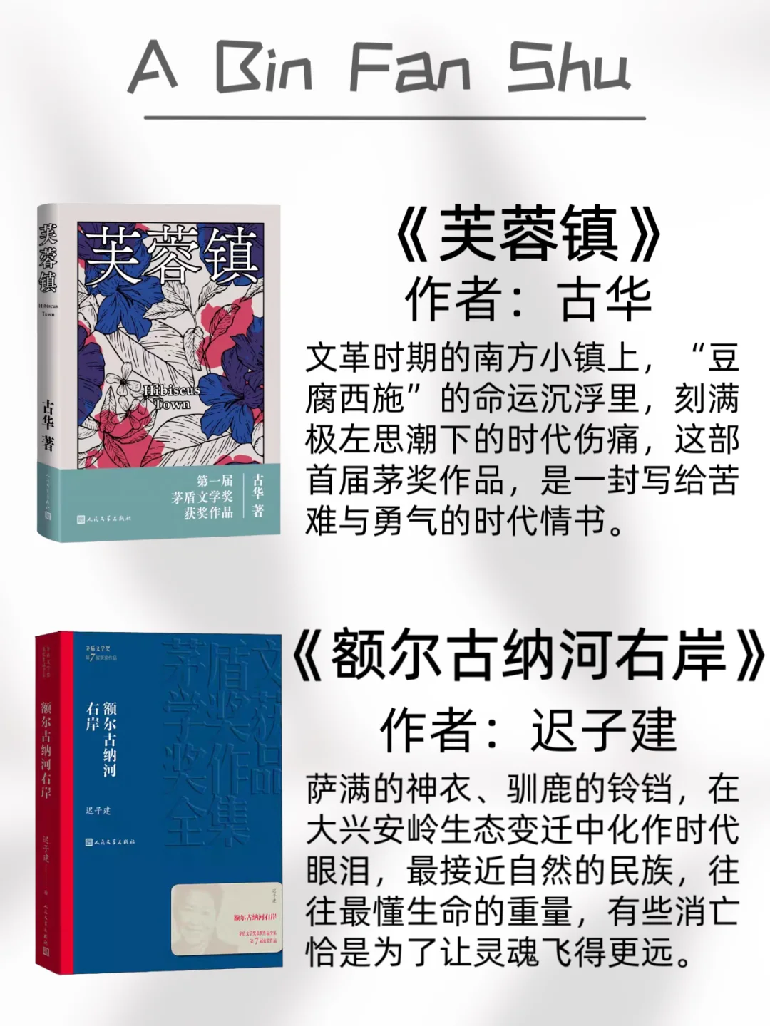 矛盾文学奖最值得看的20本书，你看过哪些呢
