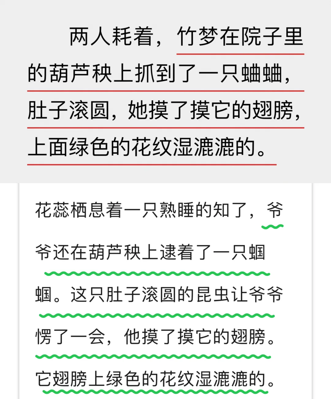 焦典处女作毕飞宇指导，成为博士生敲门砖❗️