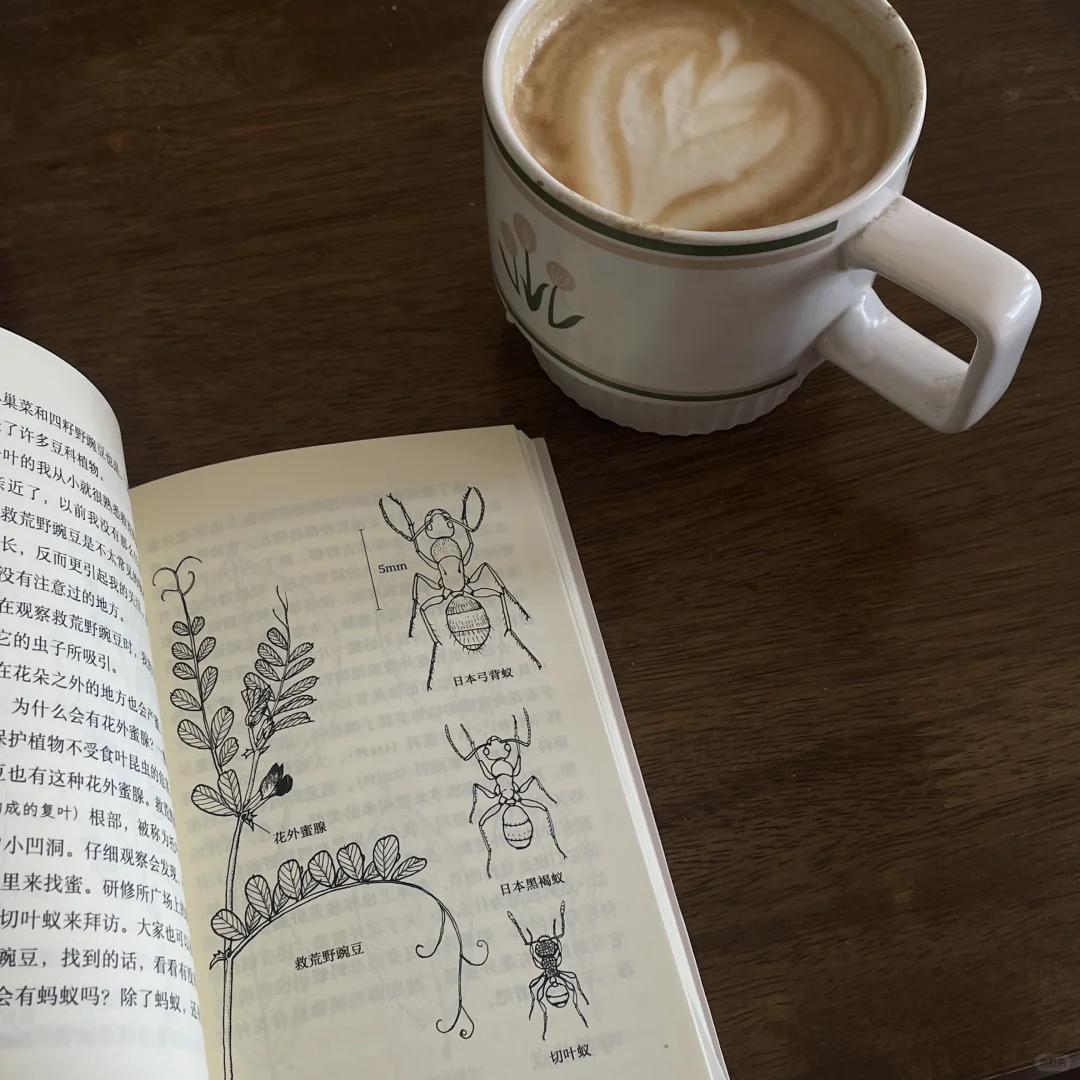 春运轻便小书 两小时可读完