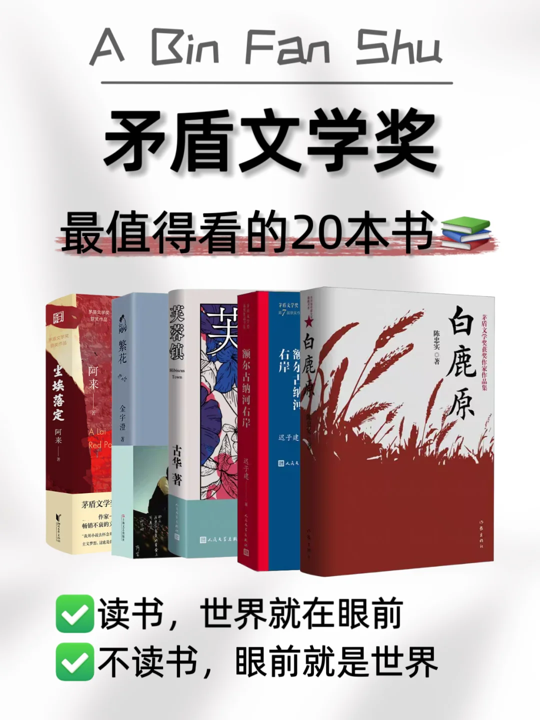 矛盾文学奖最值得看的20本书，你看过哪些呢