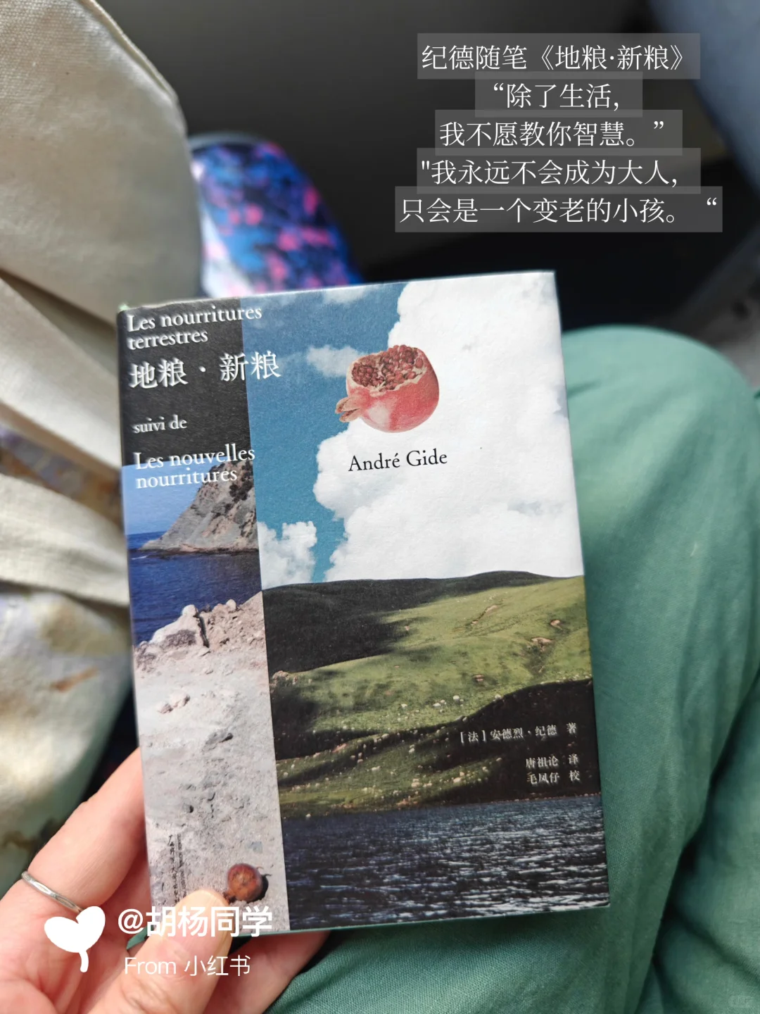 路上读书2.5年｜最爱这9本醒脑口袋书～