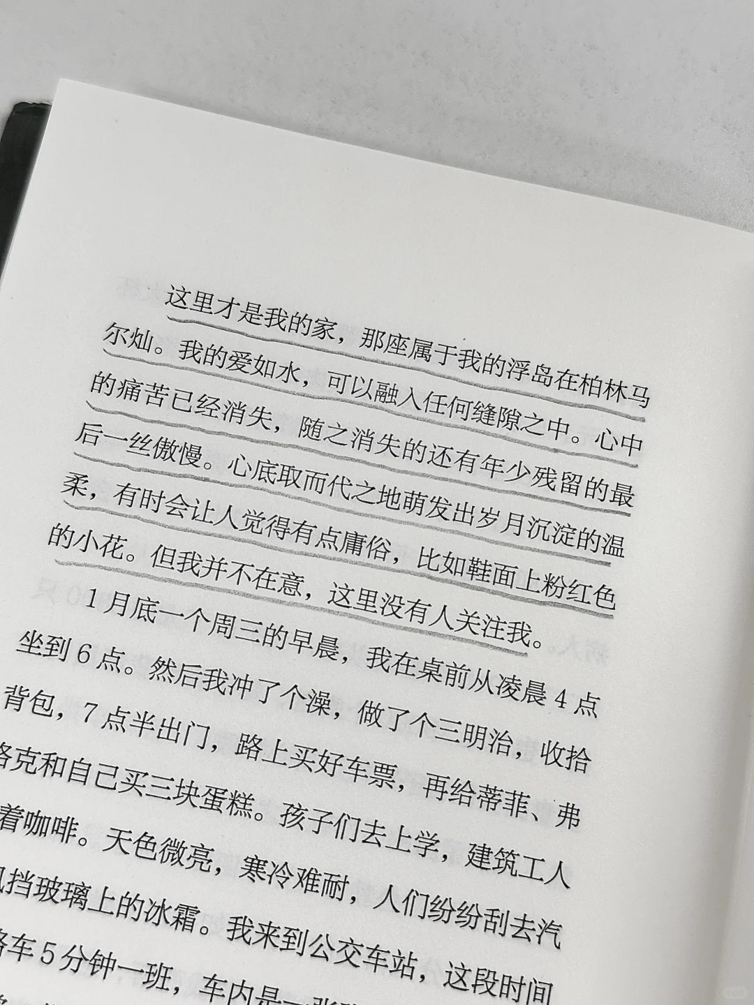如果2025年你只打算读一本书，我会推荐它。