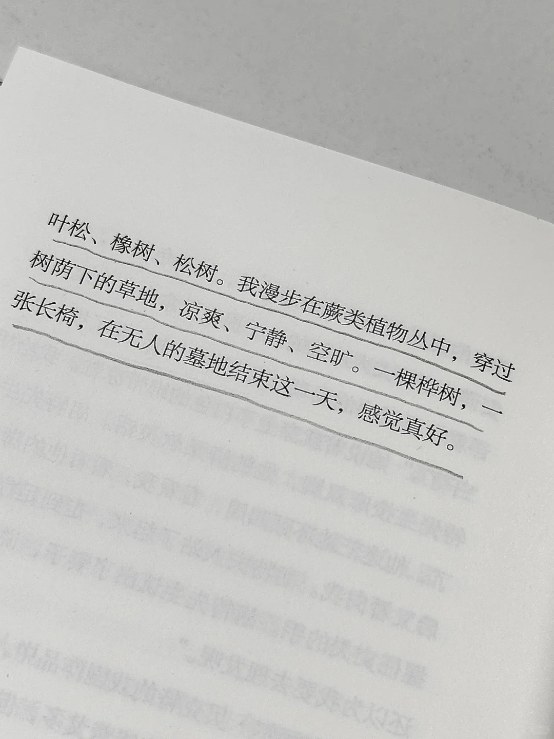 如果2025年你只打算读一本书，我会推荐它。