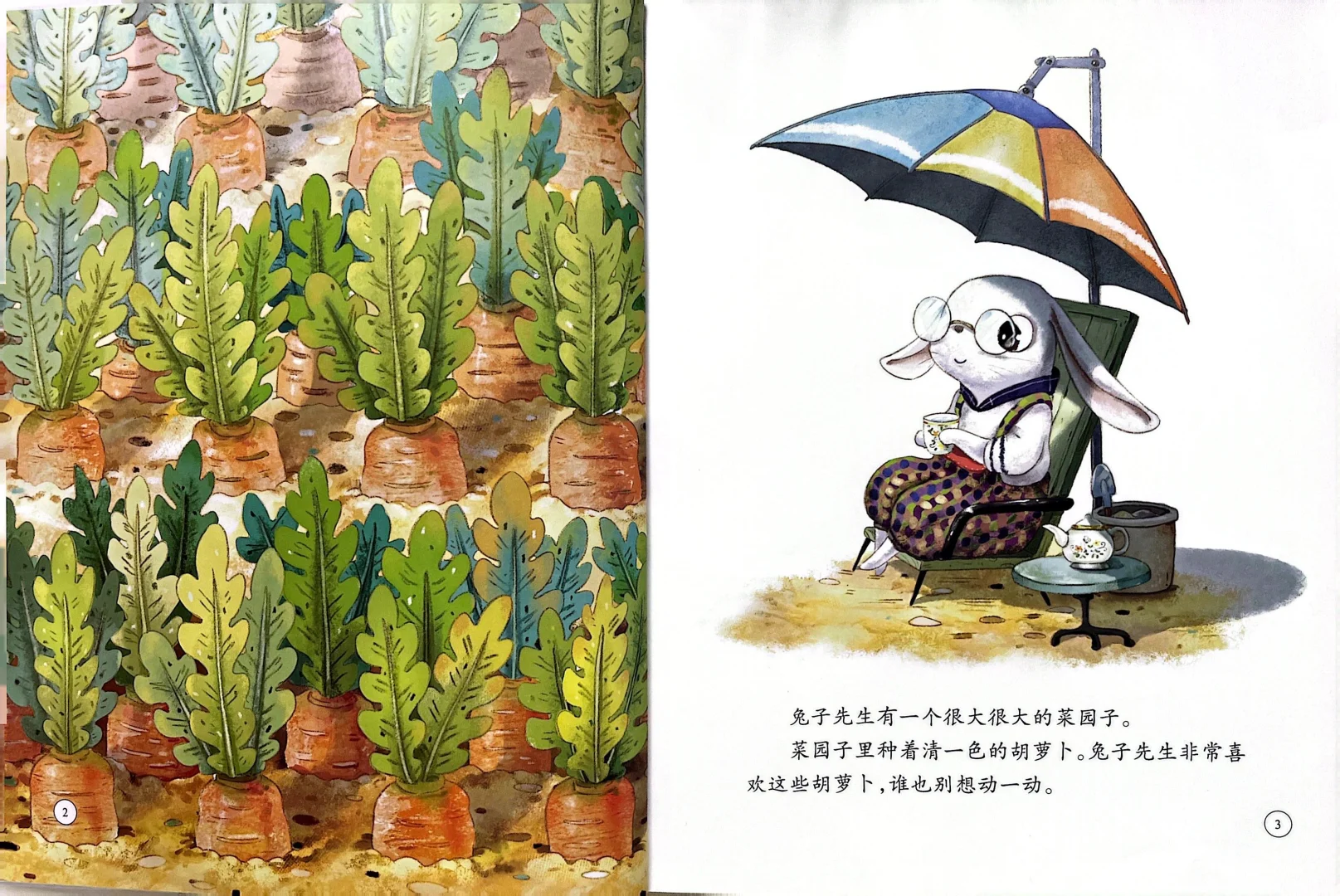 《兔子先生的菜园子》