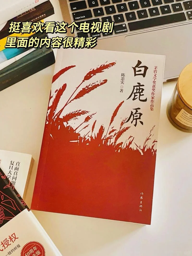 茅盾文学奖十部高分作品(建议收藏)