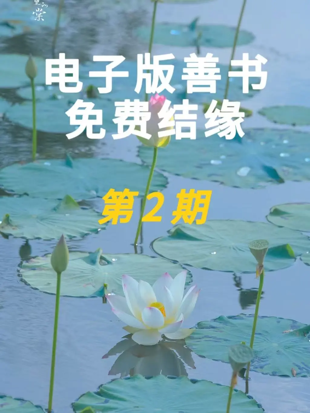 电子版善书免费结缘第②期 小焓推荐❤️