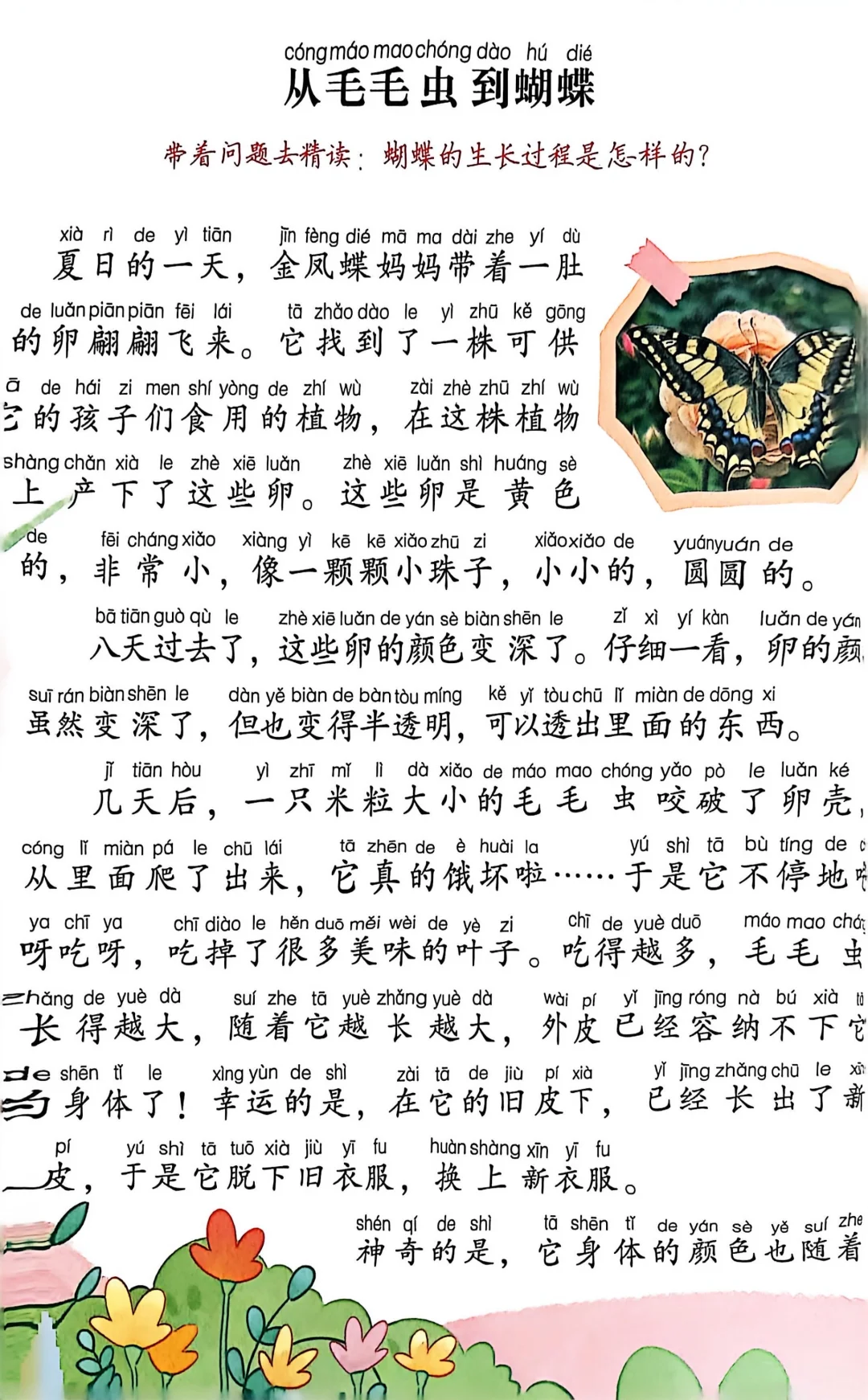 二年级同步课本拓展阅读
