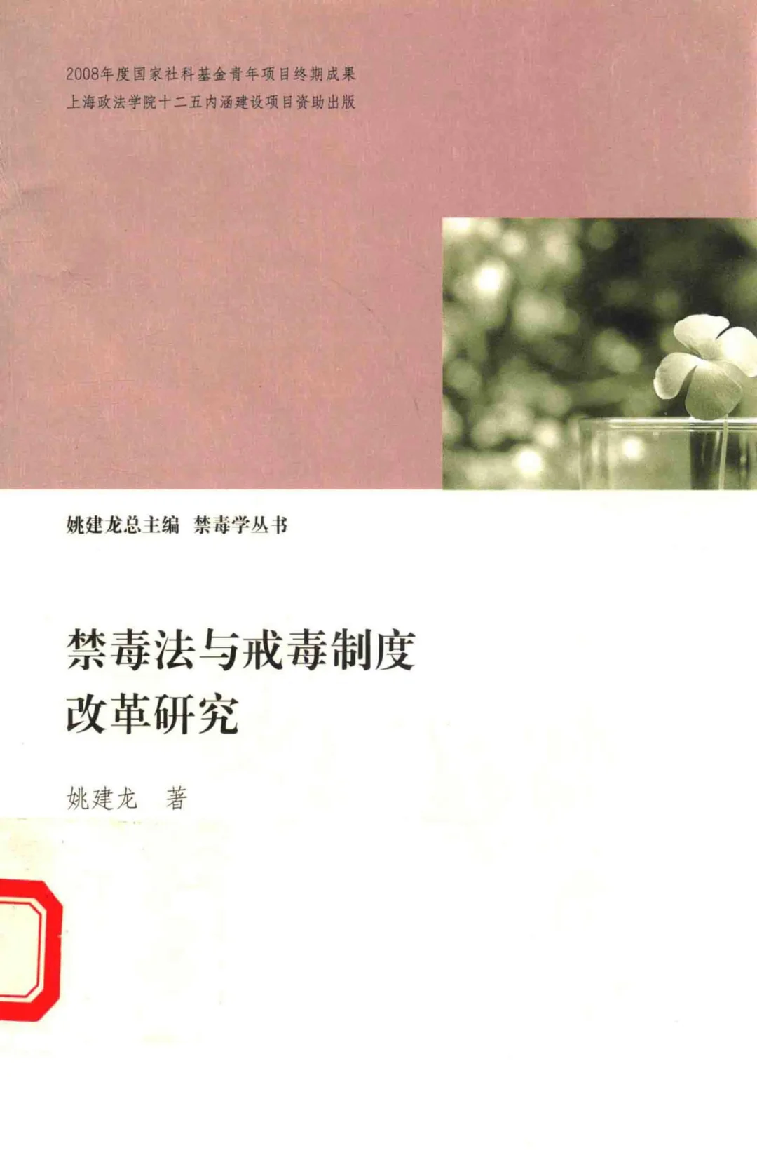 禁毒法与戒毒制度改革研究PDF电子书